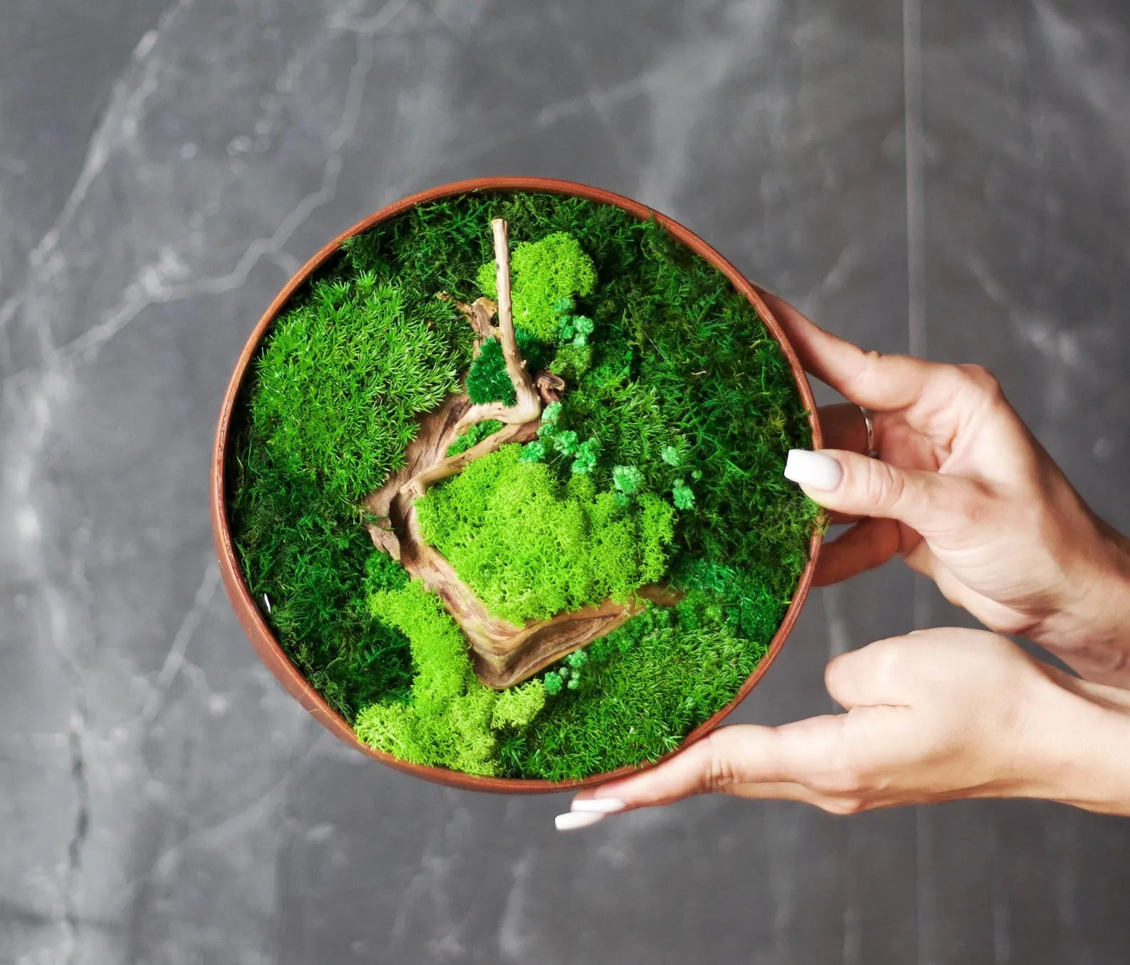 Wooden Moss Wall Art – Circular Green Wall Panel – Handmade Moss Decor