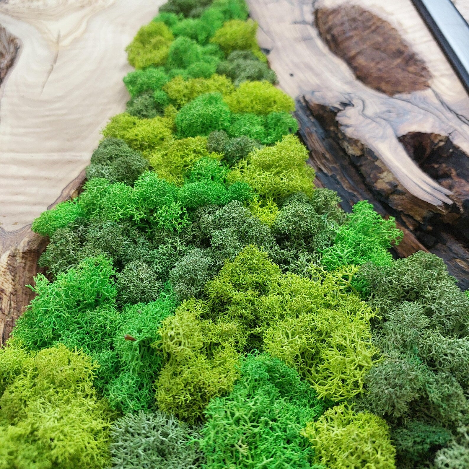 Handcrafted Moss Wall Art: Modern Wooden Wall Decor for a Natural Home