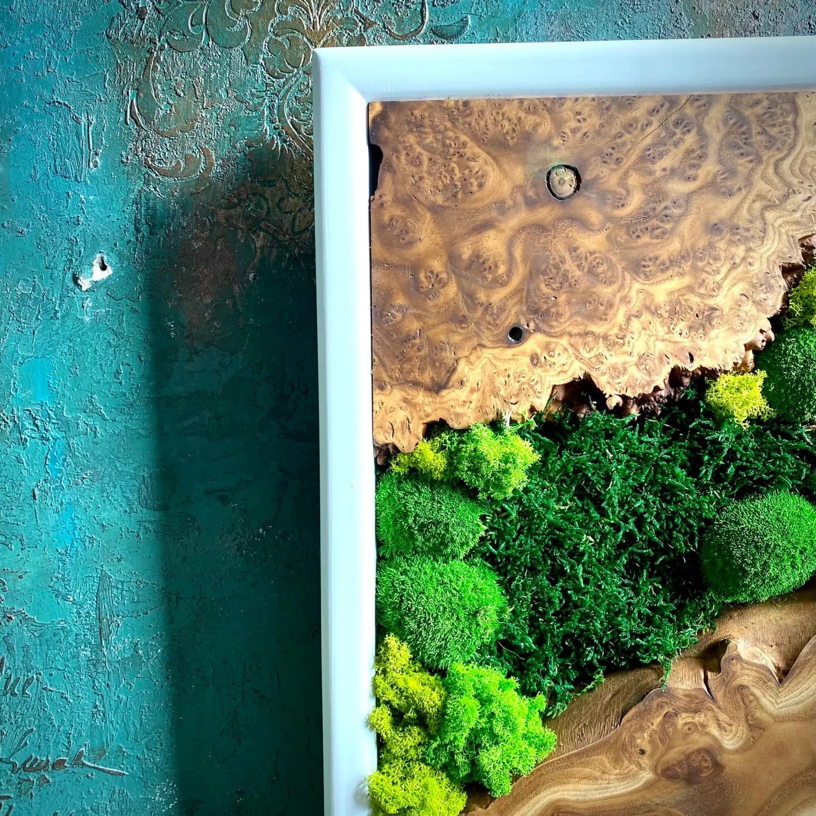 Handcrafted Moss Wall Art with Olive Wood – Rustic Wooden Home Decor