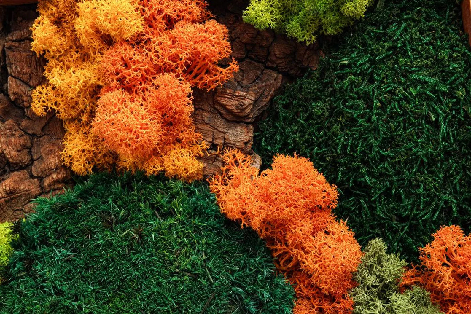 Autumn Carpathians Moss Wall Art – Stabilized Moss Wooden Frame Decor