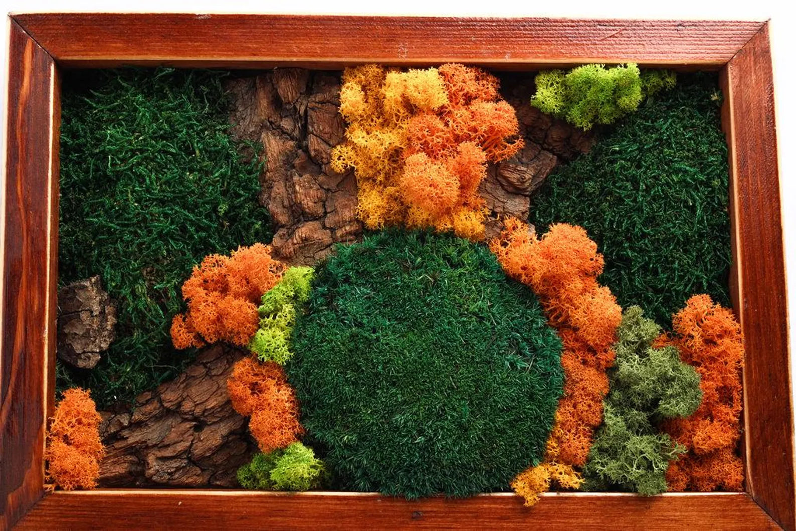 Autumn Carpathians Moss Wall Art – Stabilized Moss Wooden Frame Decor