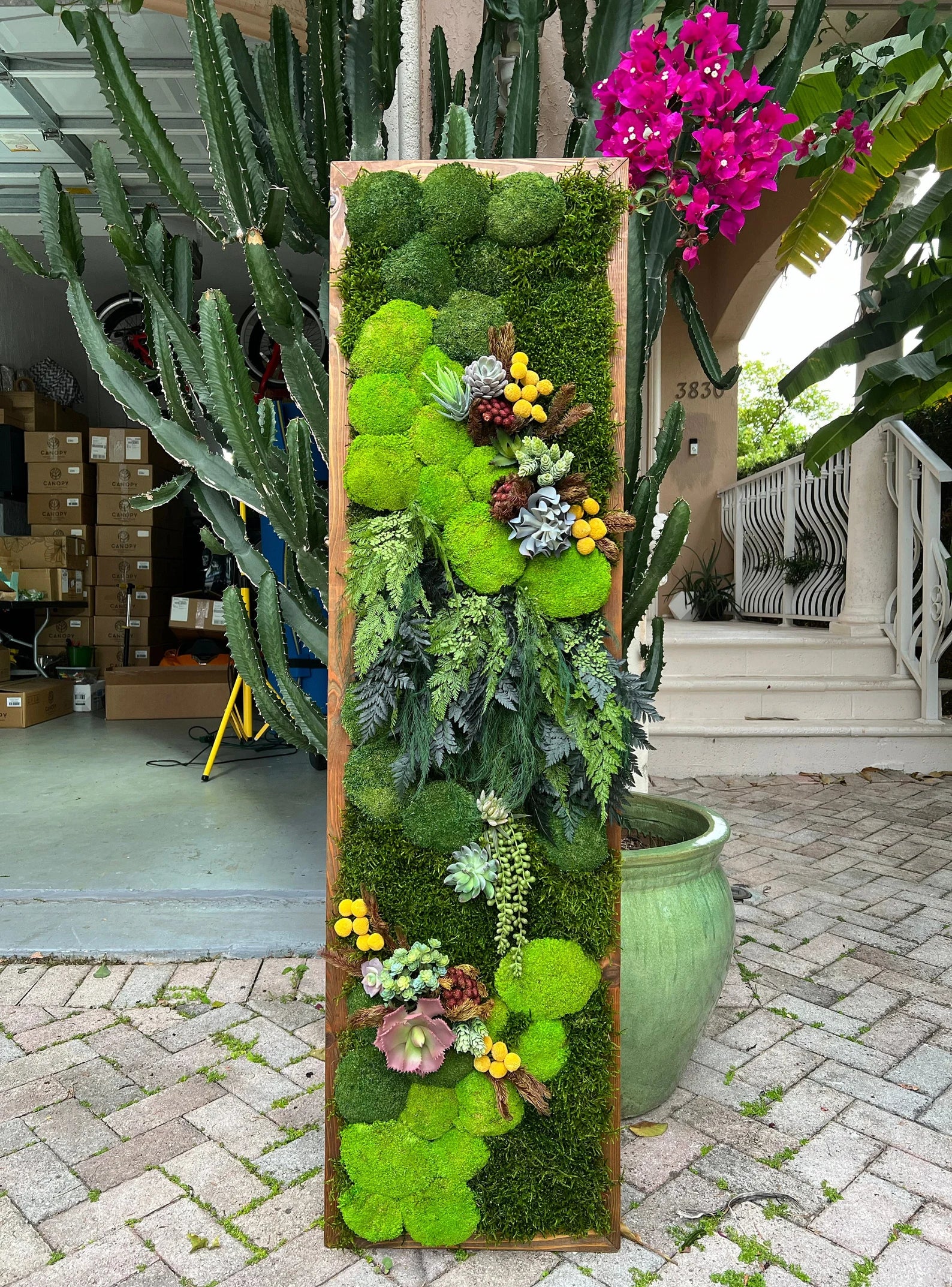Moss Wall Panel – Vertical Green Decor with Wooden Frame | Biophilic Indoor Wall Art for Home & Office
