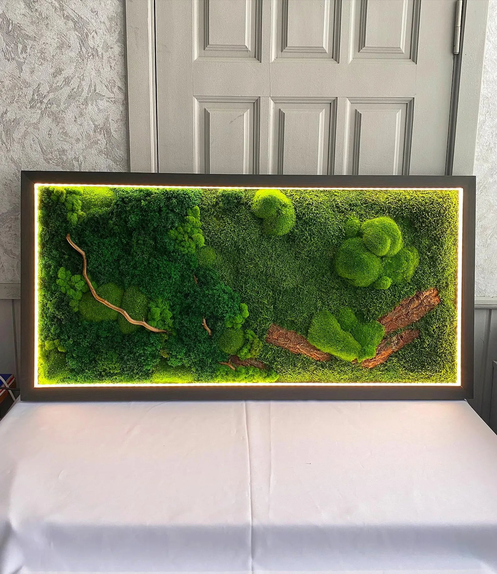 Nature-Inspired Preserved Moss Wall Art with LED – Unique Botanical Gift
