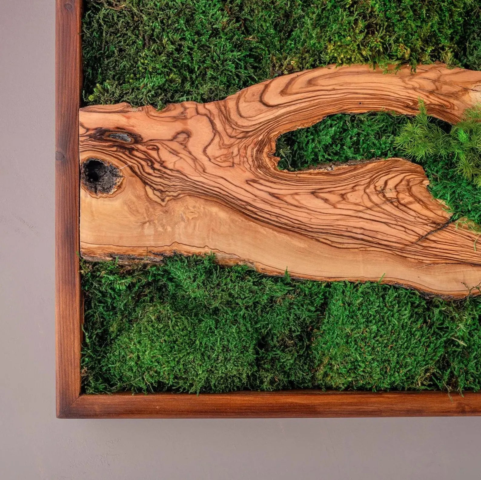 Preserved Moss Art with Olive Wood – Eco-Friendly Birthday Gift & Wall Décor Present for Her