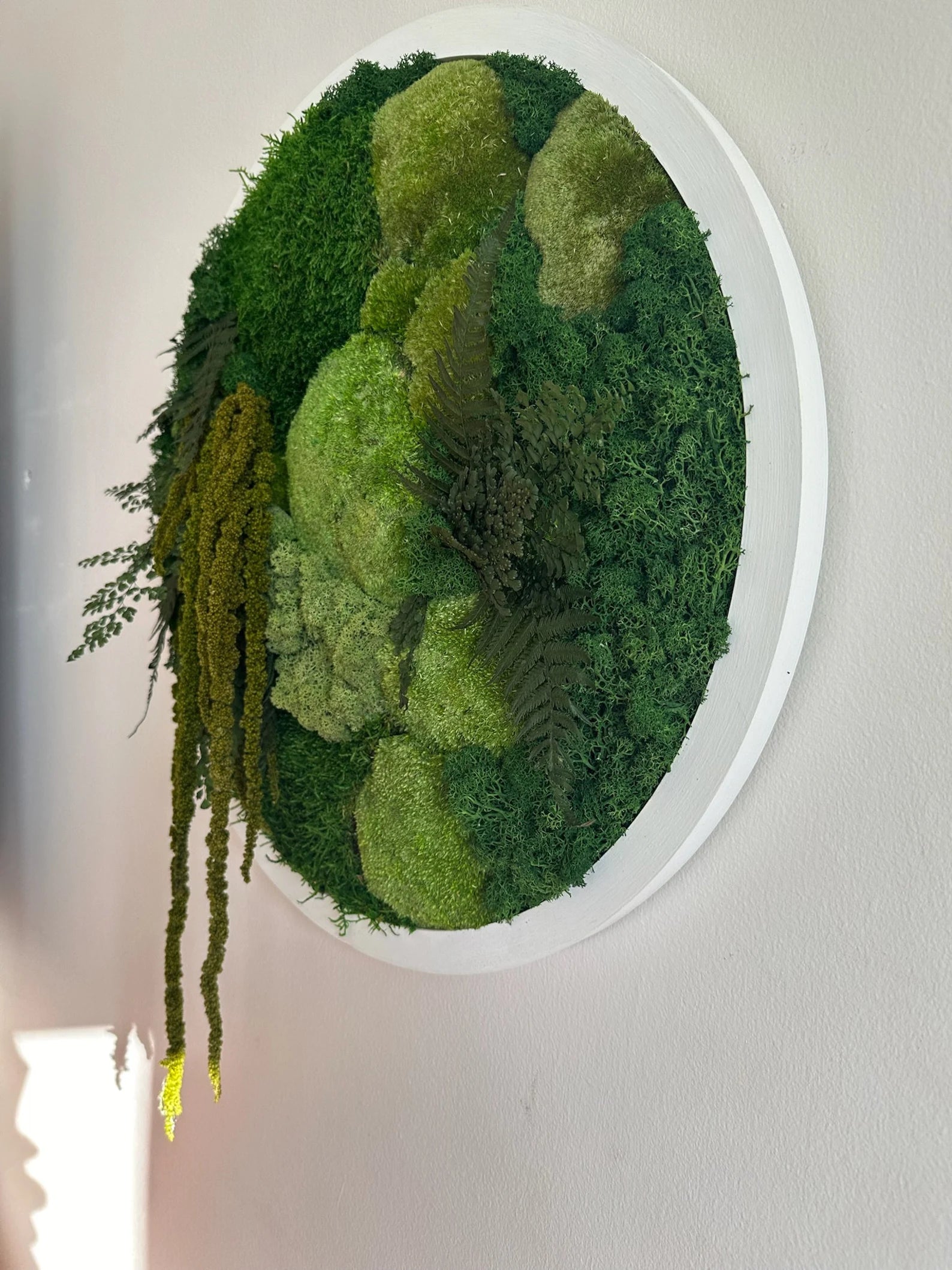 Round Moss Wall Art – 20" Circle Frame with Preserved Reindeer & Sheet Moss