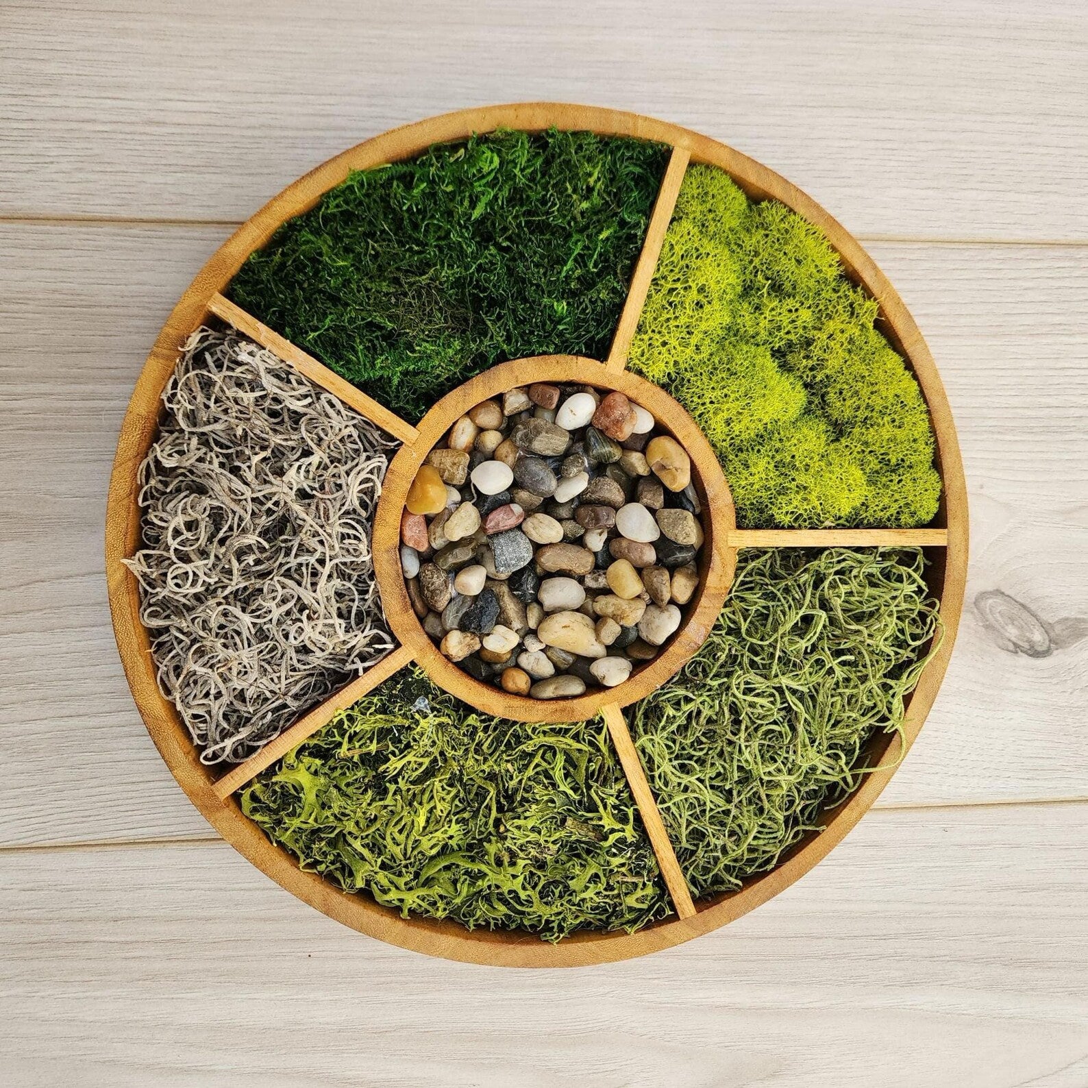Earth Elements Mandala – Preserved Moss Wall Art for Modern Home Decor