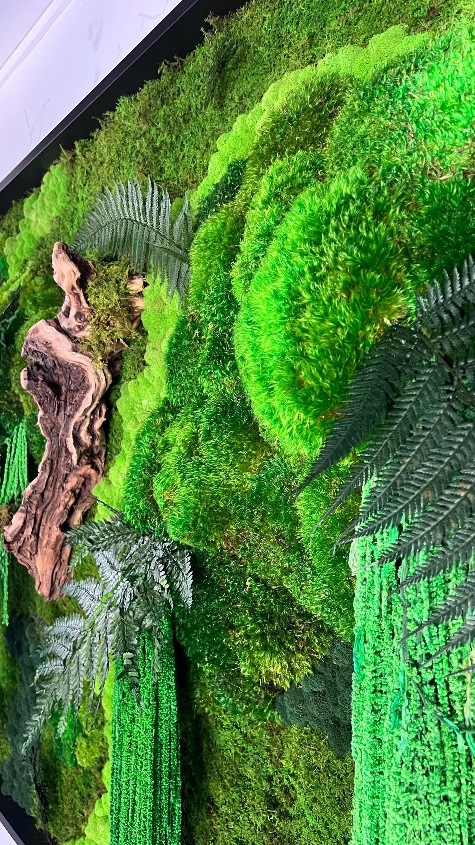 The Forgotten Forest – Preserved Moss Wall Art with Grapewood & Amaranths