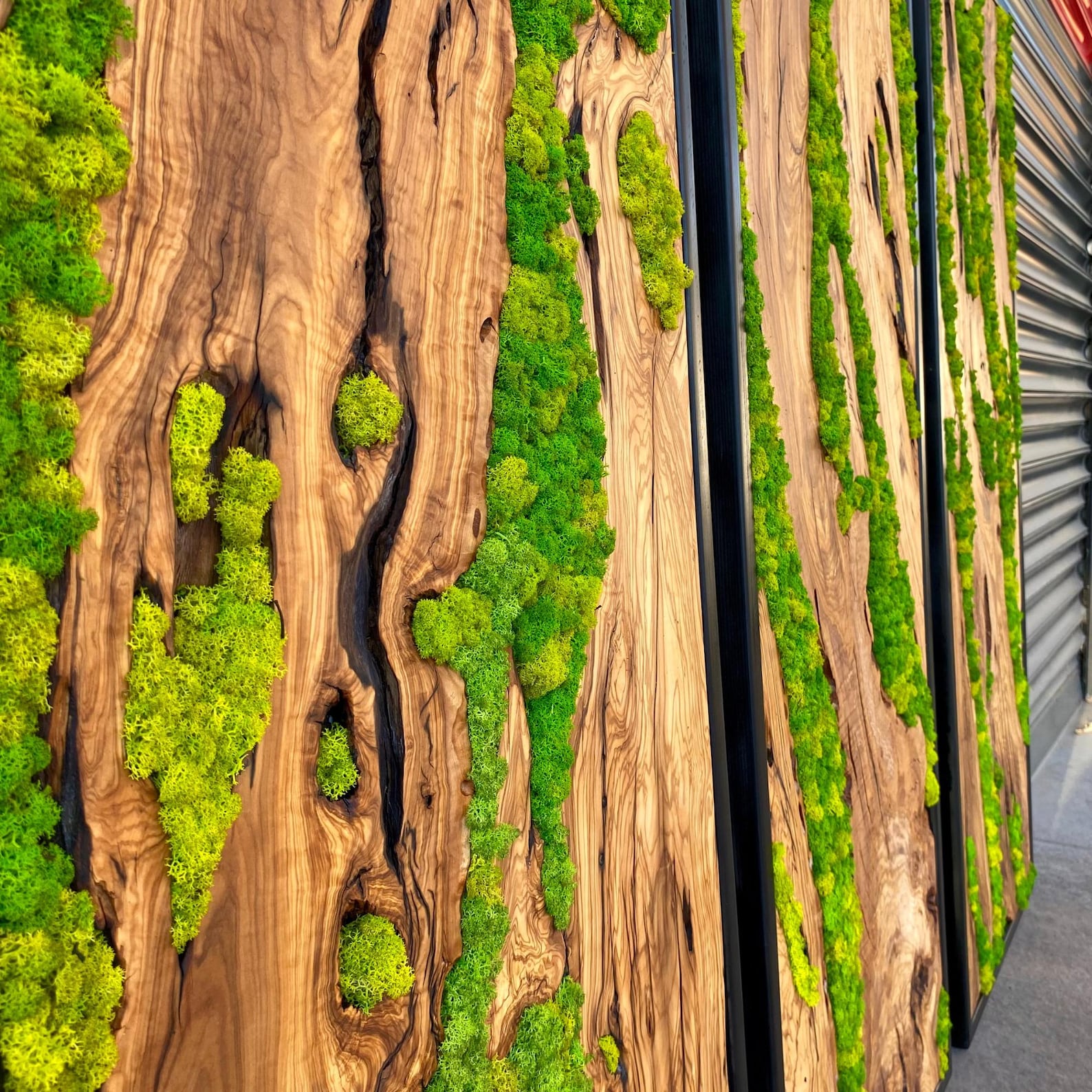 Green Moss Wall Art – Preserved Moss and Olive Wood Nature Wall Hanging