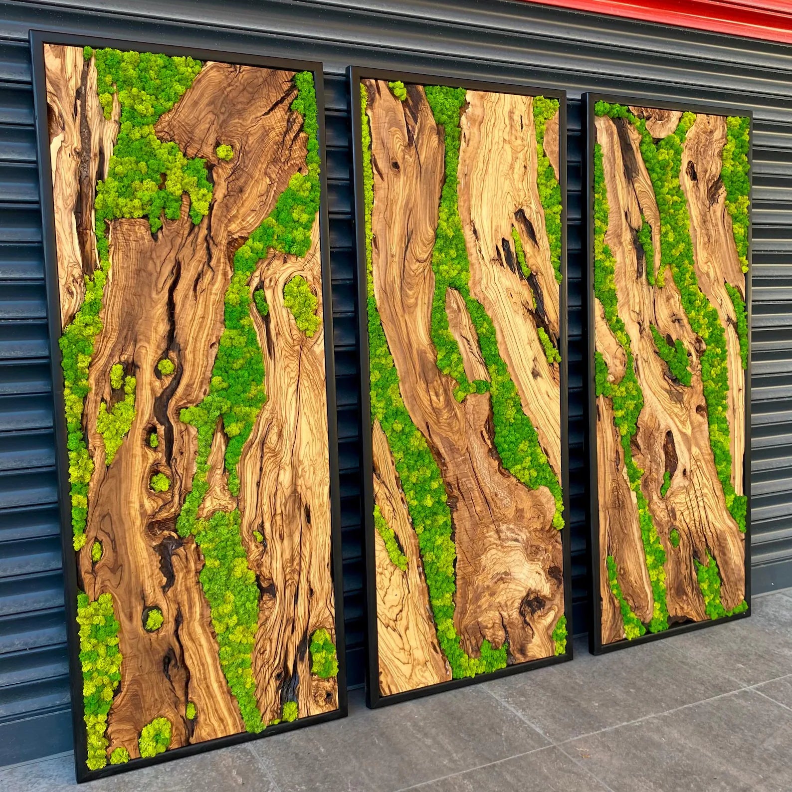Green Moss Wall Art – Preserved Moss and Olive Wood Nature Wall Hanging