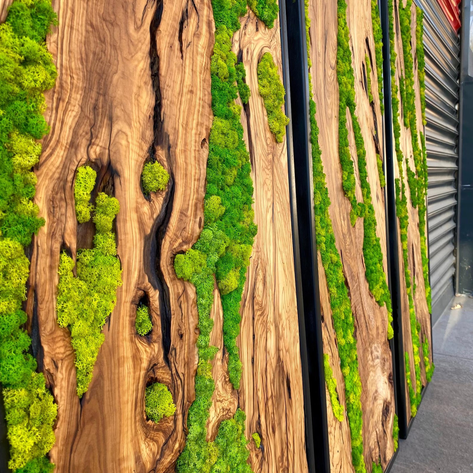 Green Moss Wall Art – Preserved Moss and Olive Wood Nature Wall Hanging