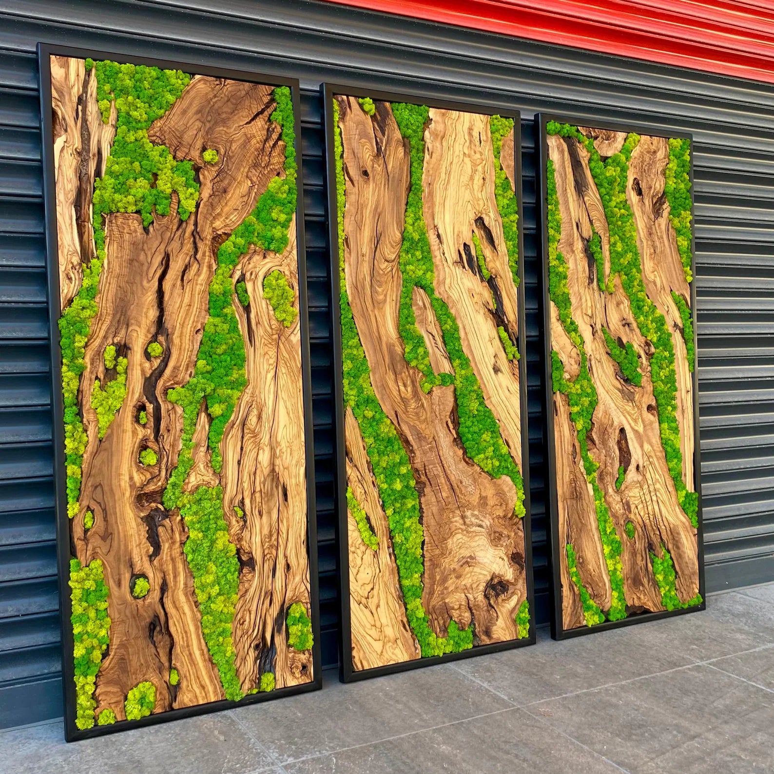 Green Moss Wall Art – Preserved Moss and Olive Wood Nature Wall Hanging