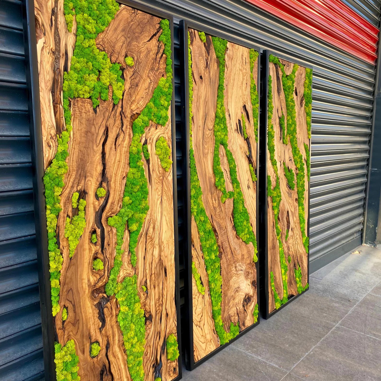 Green Moss Wall Art – Preserved Moss and Olive Wood Nature Wall Hanging