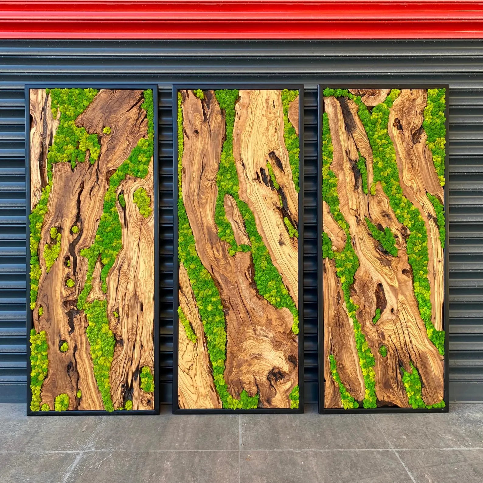 Green Moss Wall Art – Preserved Moss and Olive Wood Nature Wall Hanging