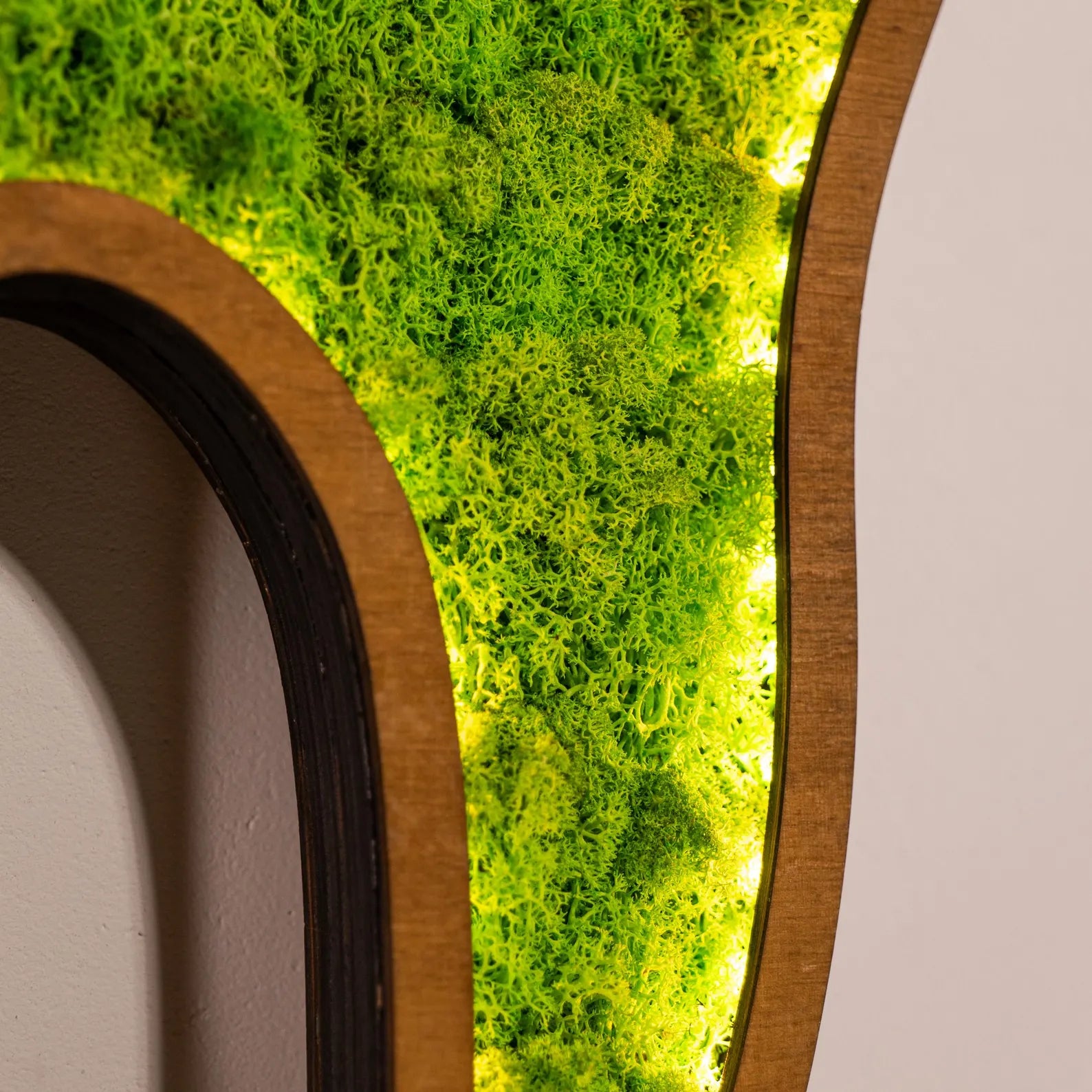 LED Moss Tooth Wall Art – Dental Office Décor, Dentist Gift & Orthodontist Sign