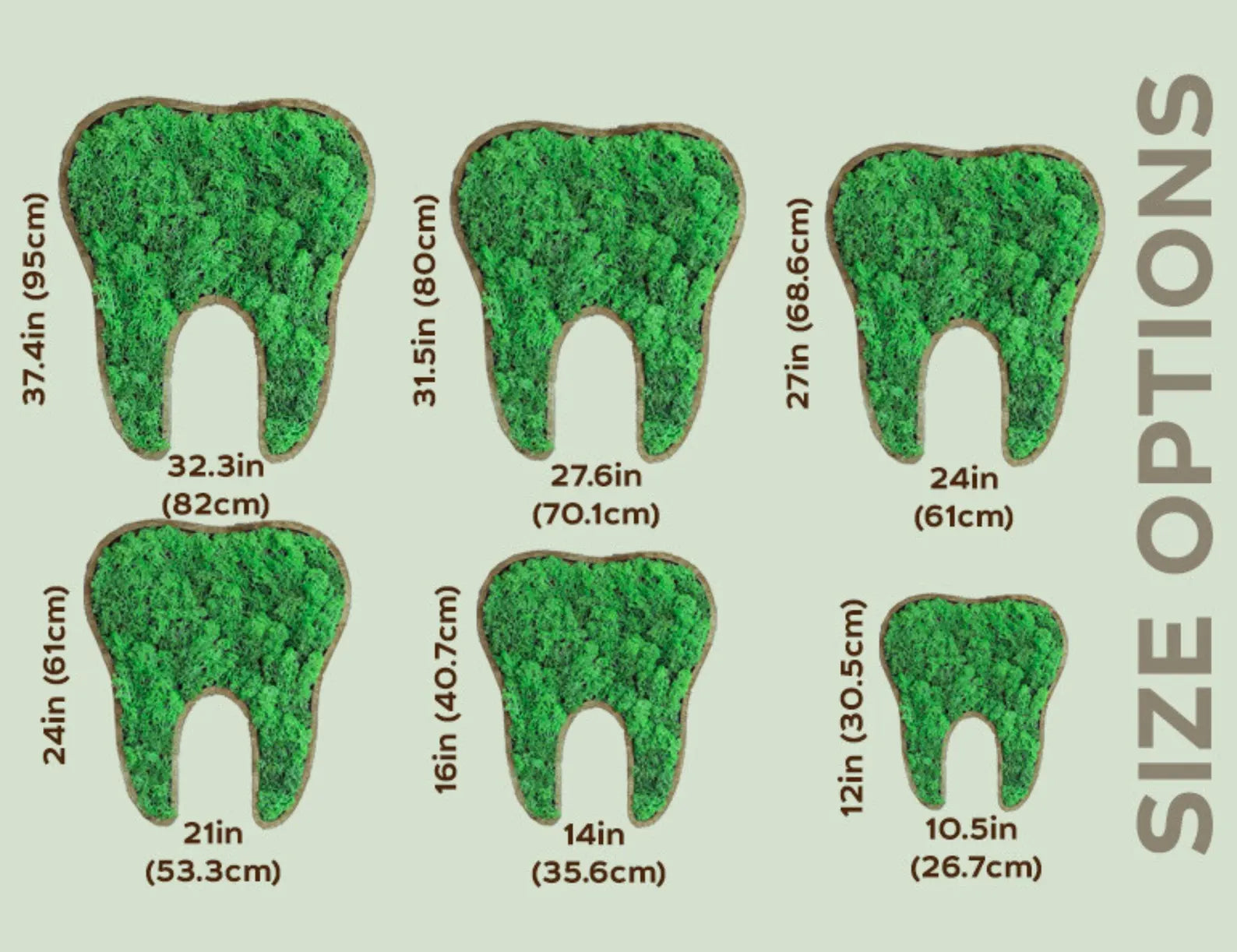 LED Moss Tooth Wall Art – Dental Office Décor, Dentist Gift & Orthodontist Sign