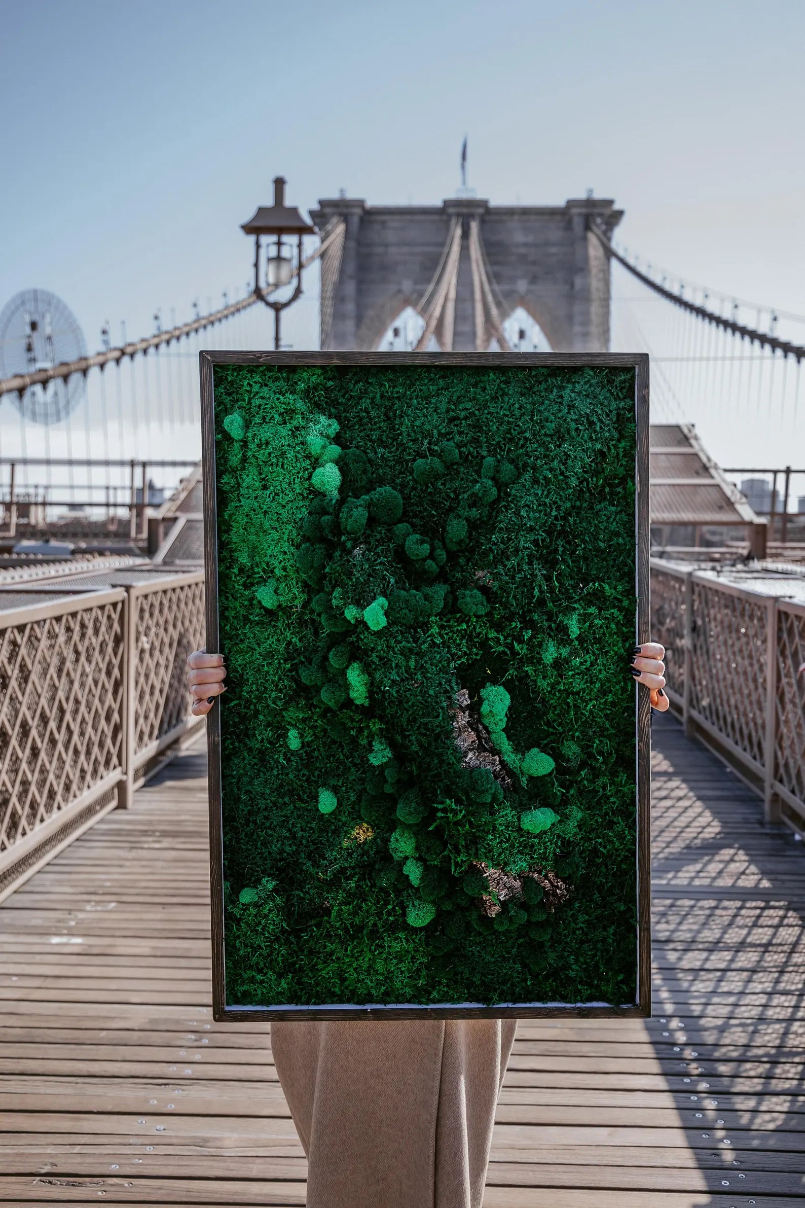 Stabilized Moss Wall Art with Lighting – 50x80 cm Panel, 3 Moss Types & Oak Bark in Cedar Frame