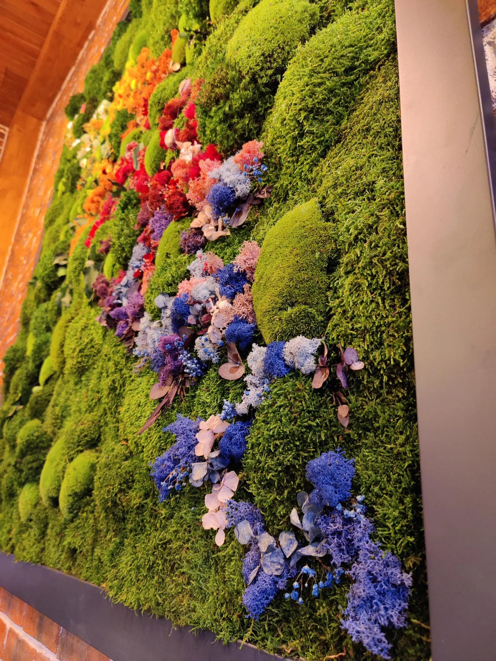 Rainbow Gradient Moss Wall – Handmade Preserved Botanical Indoor Decor