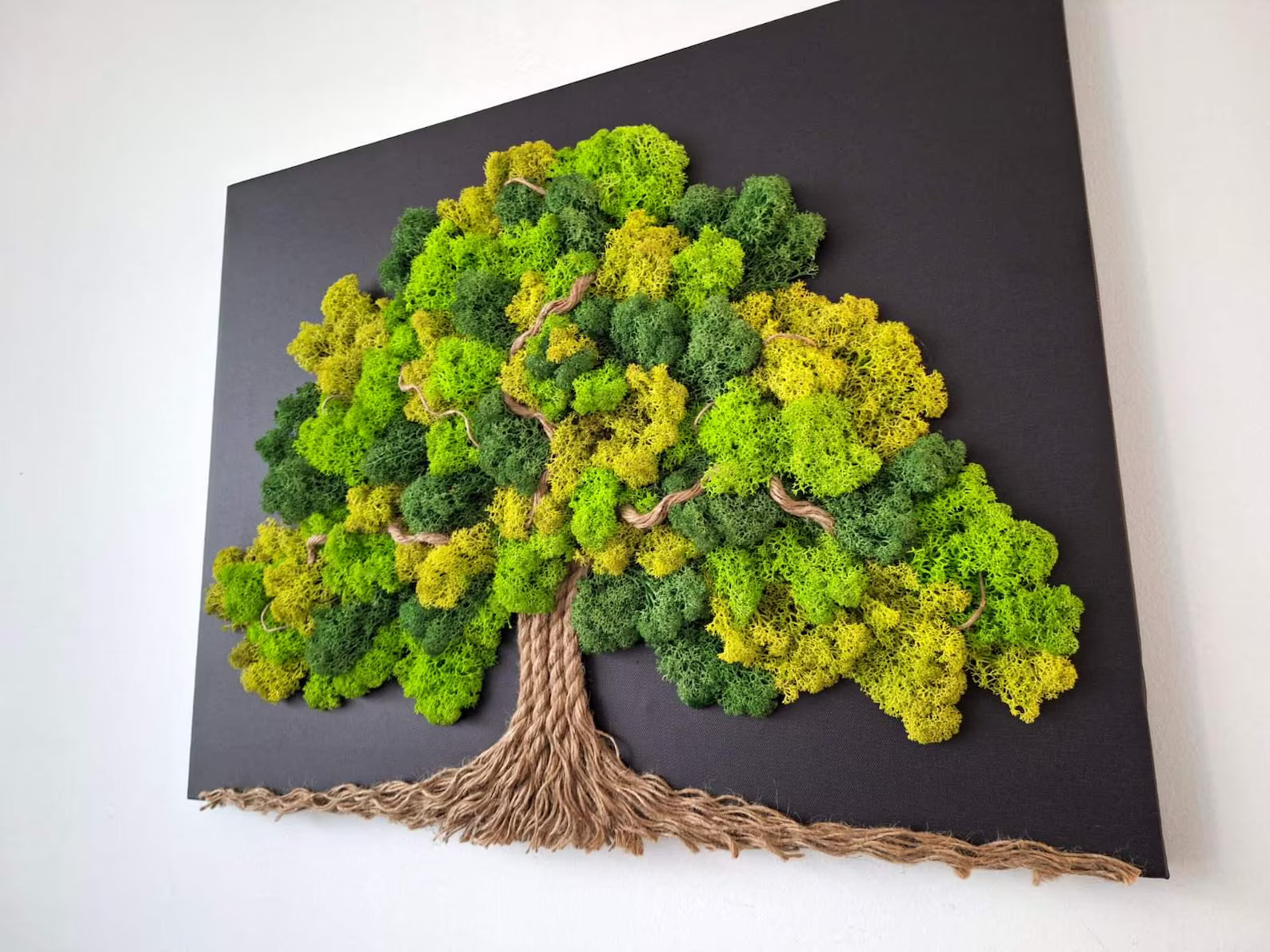 Tree of Life Moss Wall Art – Large 60x50cm Living Picture with Stabilized Reindeer Moss for Zen Home Décor