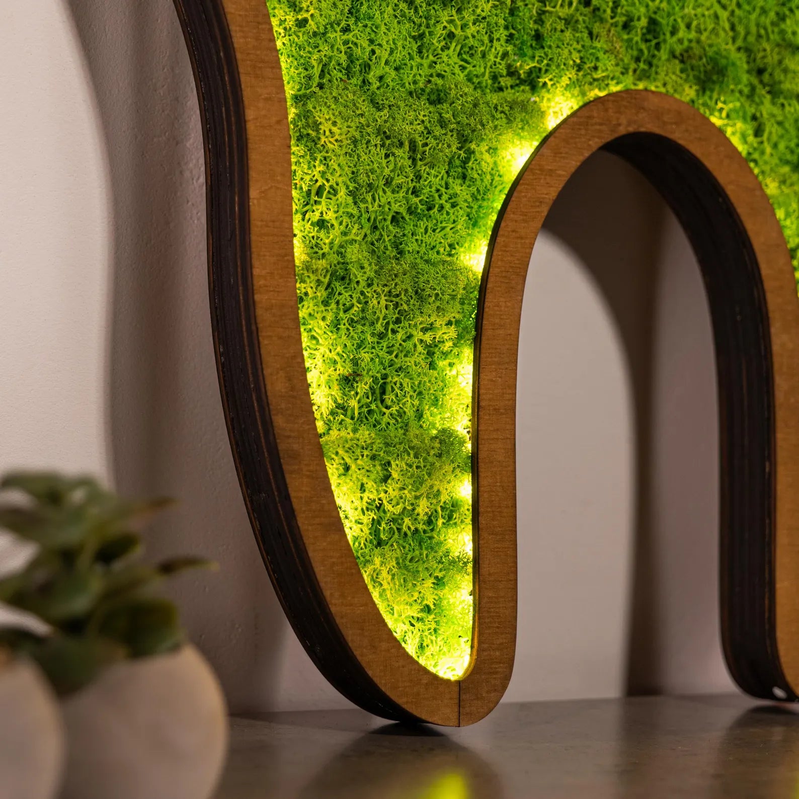 LED Moss Tooth Wall Art – Dental Office Décor, Dentist Gift & Orthodontist Sign