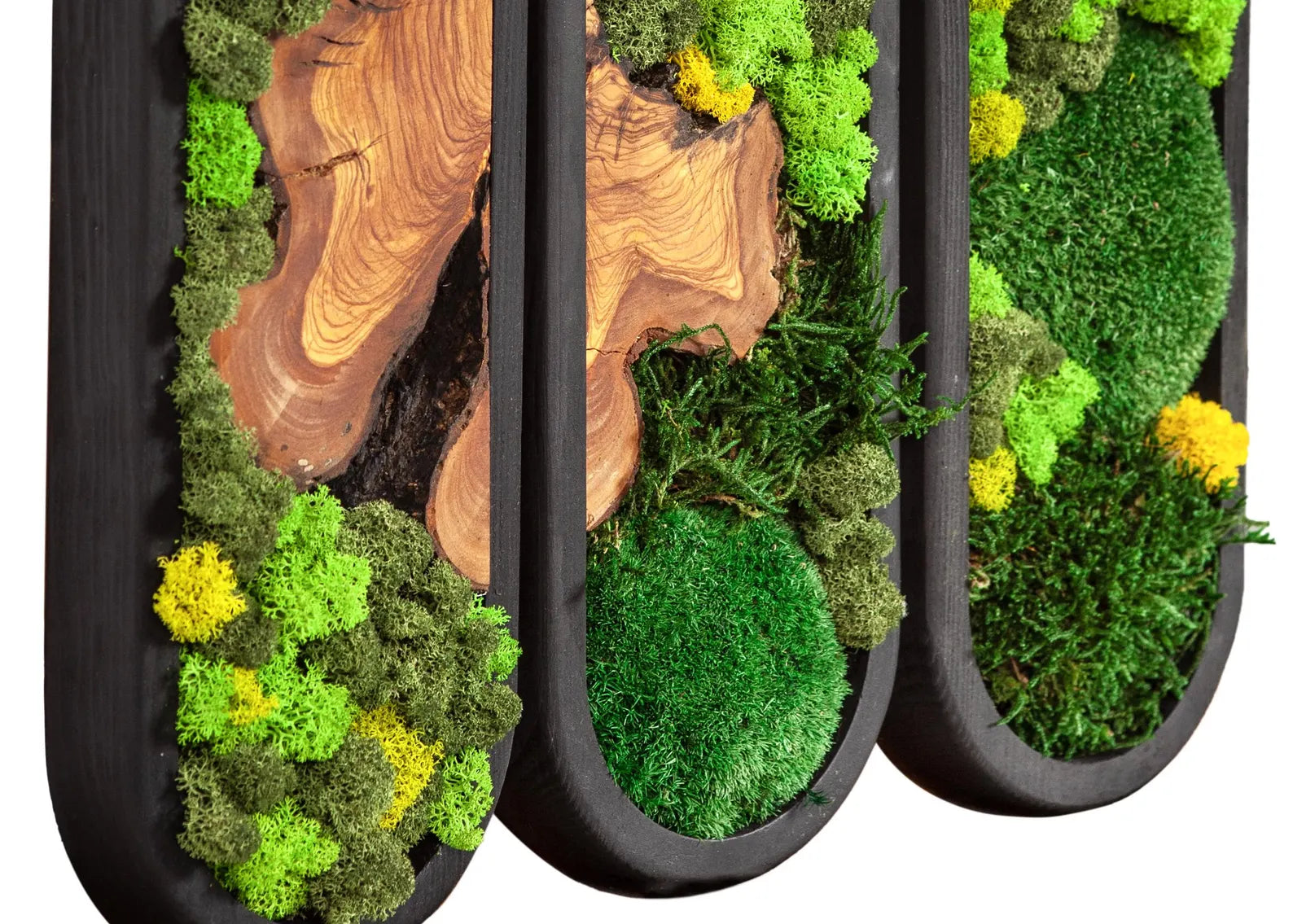 Handmade preserved moss wall art in wooden frame. Eco-friendly, zero-maintenance décor with natural olive moss. Lasts up to 10 years – perfect for modern interiors.