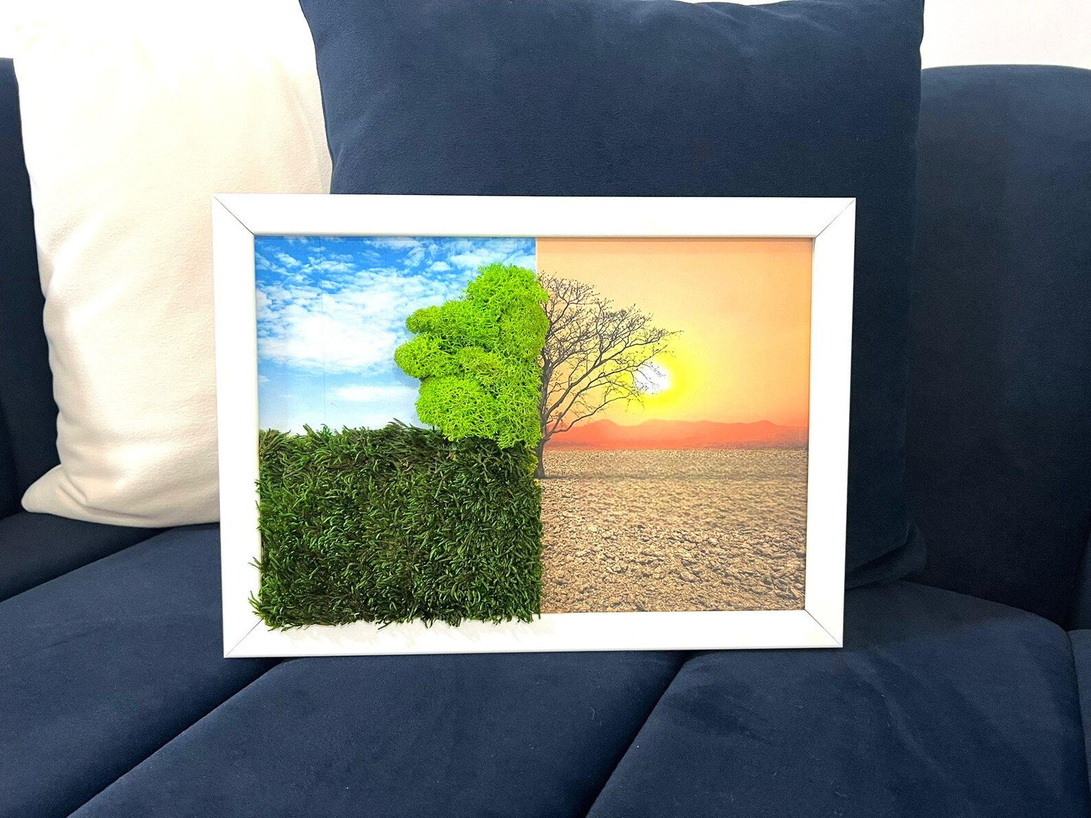 Live Moss Wall Decor – Tree of Life Wall Art for Home & Office, Housewarming Gift