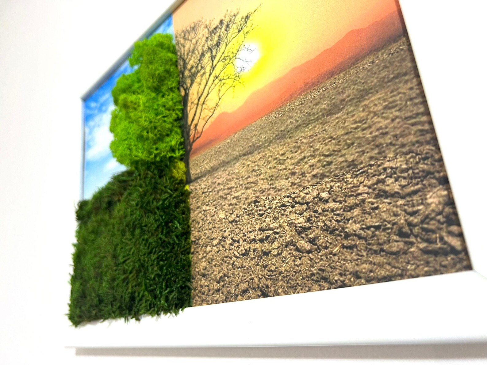 Live Moss Wall Decor – Tree of Life Wall Art for Home & Office, Housewarming Gift