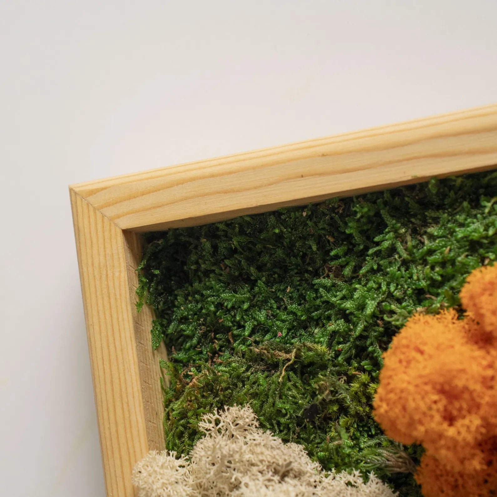 Rustic Moss Wall Art – Handmade Preserved Wooden Rectangle Moss Decor, Colorful Eco-Friendly Gift