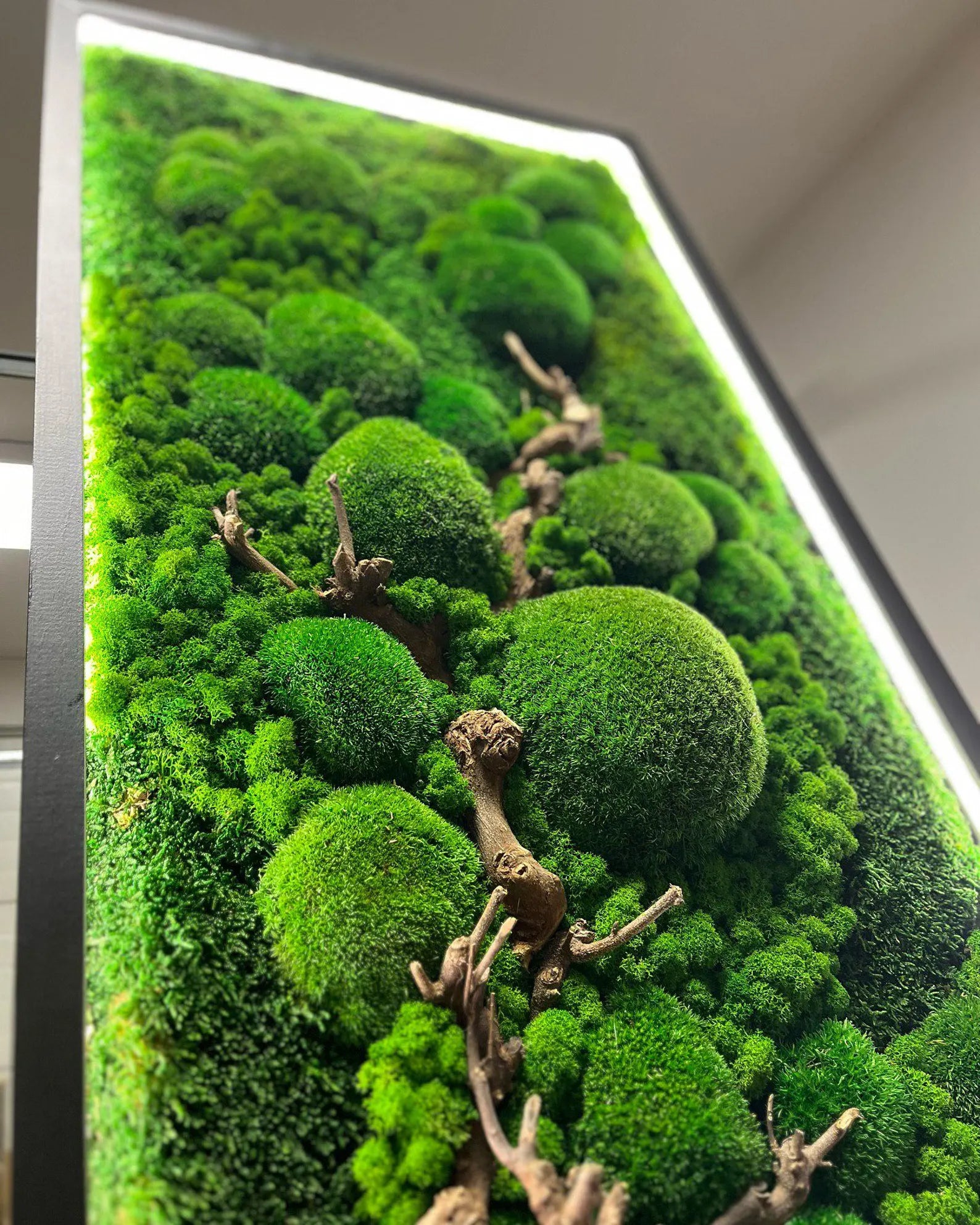 Luminous Reindeer Moss Wall Art with Branches – LED Backlight & Wooden Frame