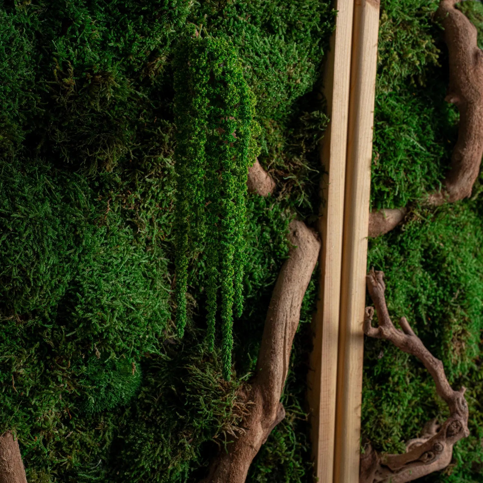 Bonsai Wall Art – Wooden Moss Wall Decor, Modern Home and Office Decoration, Vertical Garden, Mediterranean Style