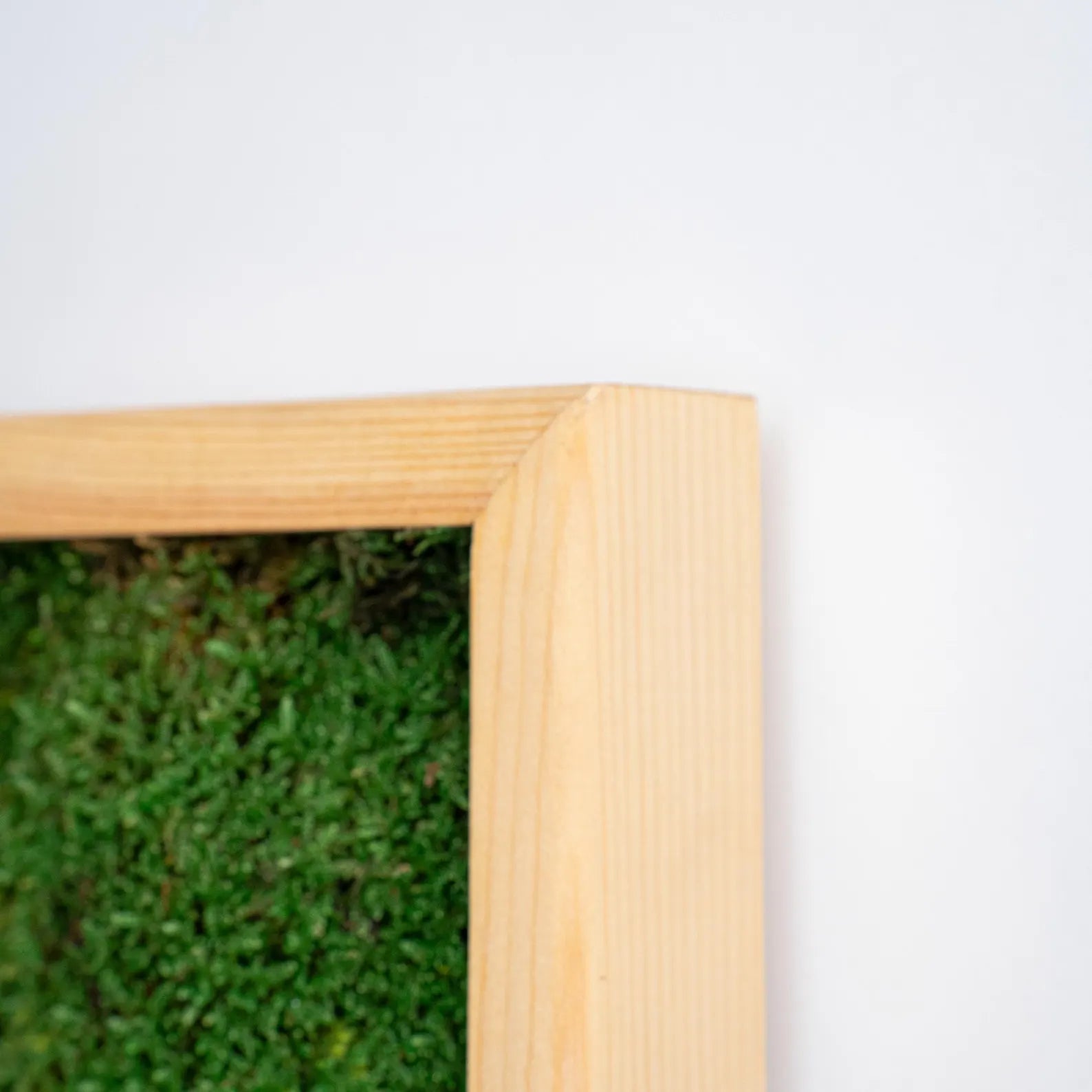 Bonsai Wall Art – Wooden Moss Wall Decor, Modern Home and Office Decoration, Vertical Garden, Mediterranean Style
