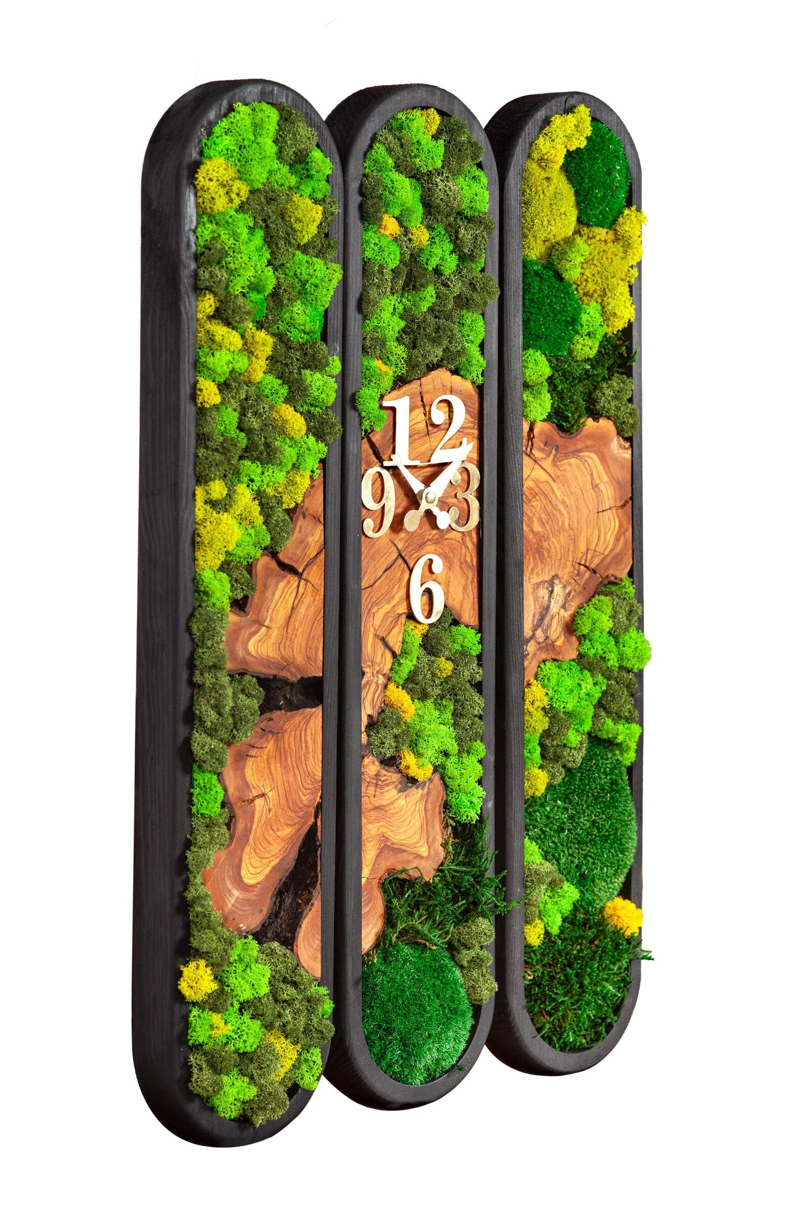 Handmade preserved moss wall art in wooden frame. Eco-friendly, zero-maintenance décor with natural olive moss. Lasts up to 10 years – perfect for modern interiors.