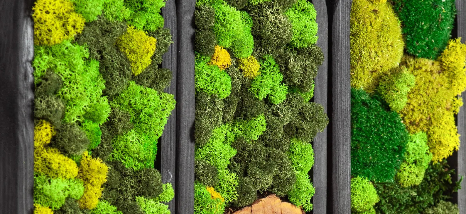 Handmade preserved moss wall art in wooden frame. Eco-friendly, zero-maintenance décor with natural olive moss. Lasts up to 10 years – perfect for modern interiors.