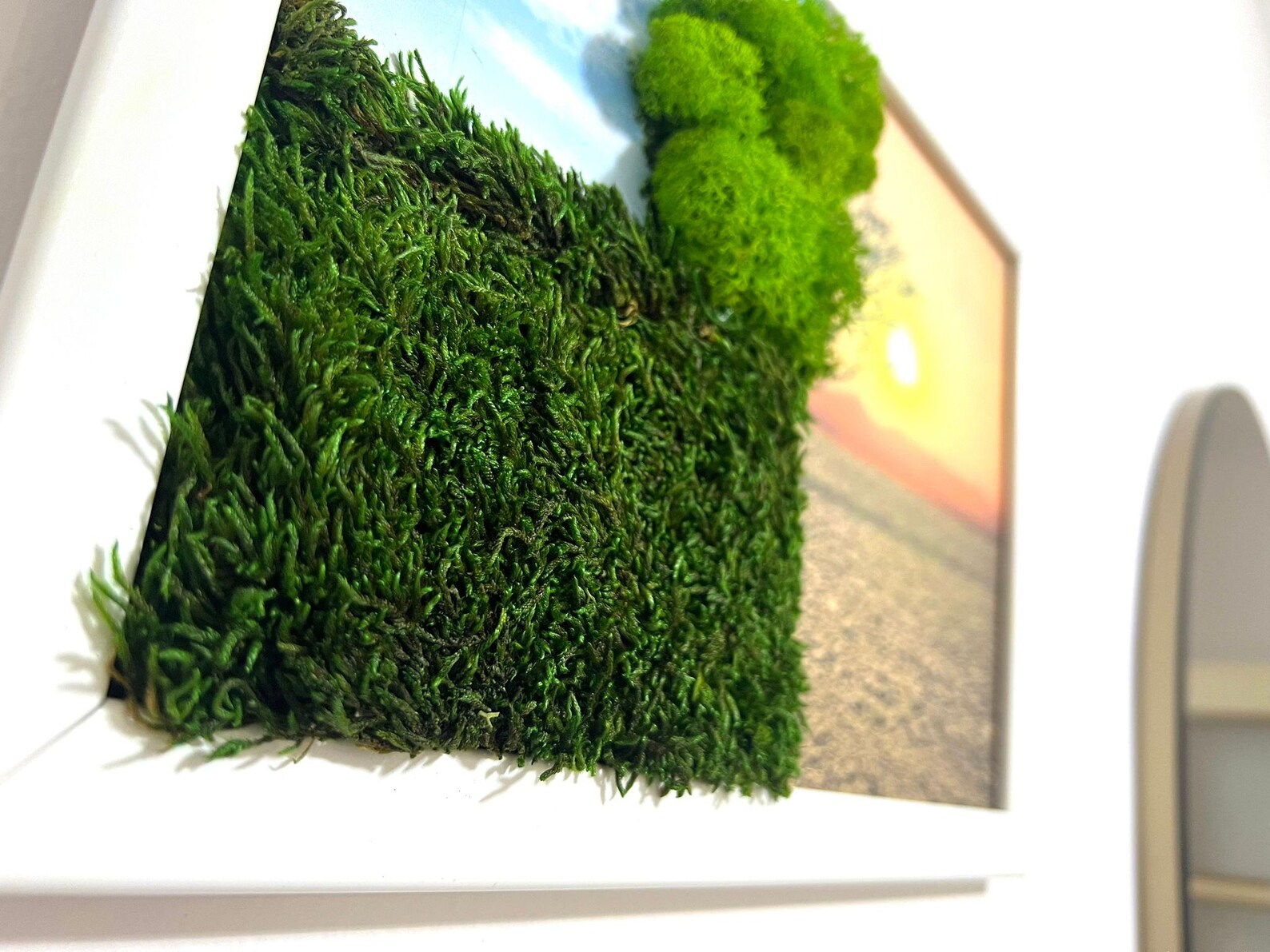 Live Moss Wall Decor – Tree of Life Wall Art for Home & Office, Housewarming Gift