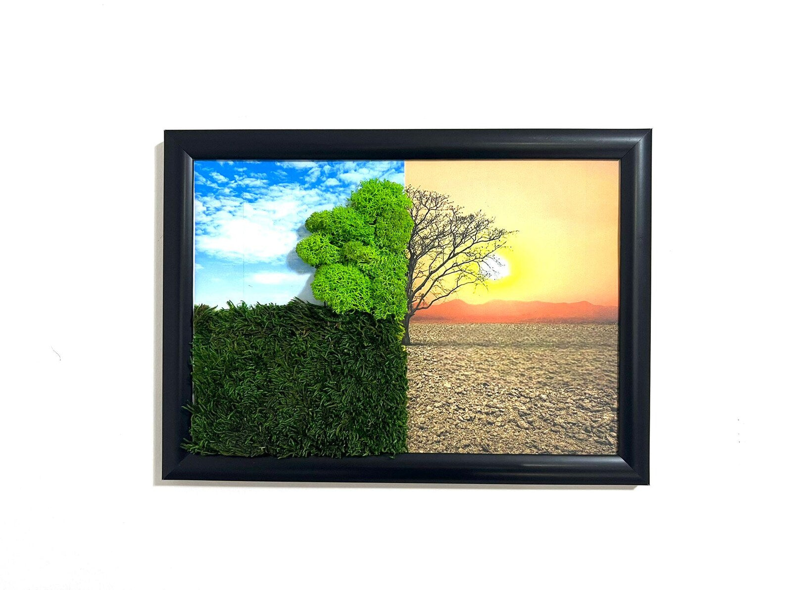 Live Moss Wall Decor – Tree of Life Wall Art for Home & Office, Housewarming Gift