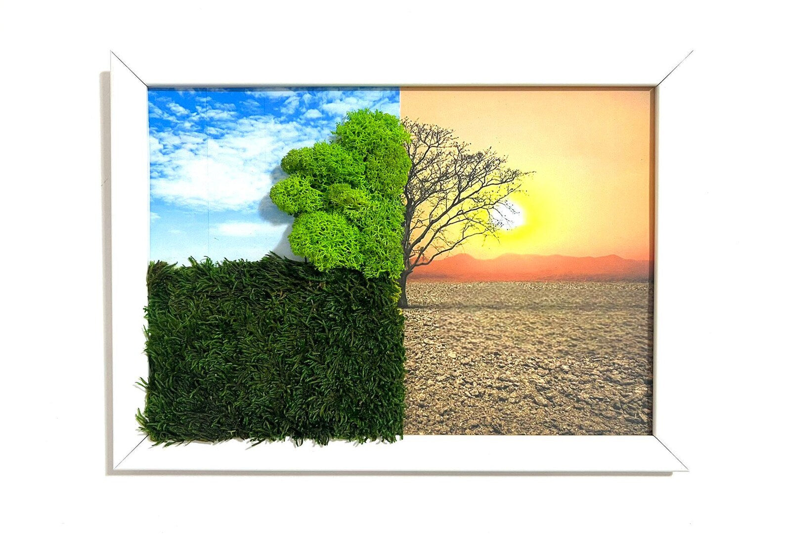 Live Moss Wall Decor – Tree of Life Wall Art for Home & Office, Housewarming Gift