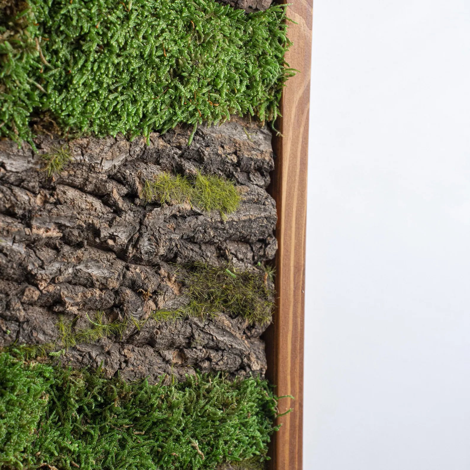 Tree Wall Design – Wooden Frame Moss Wall Art & Botanical Home Decor