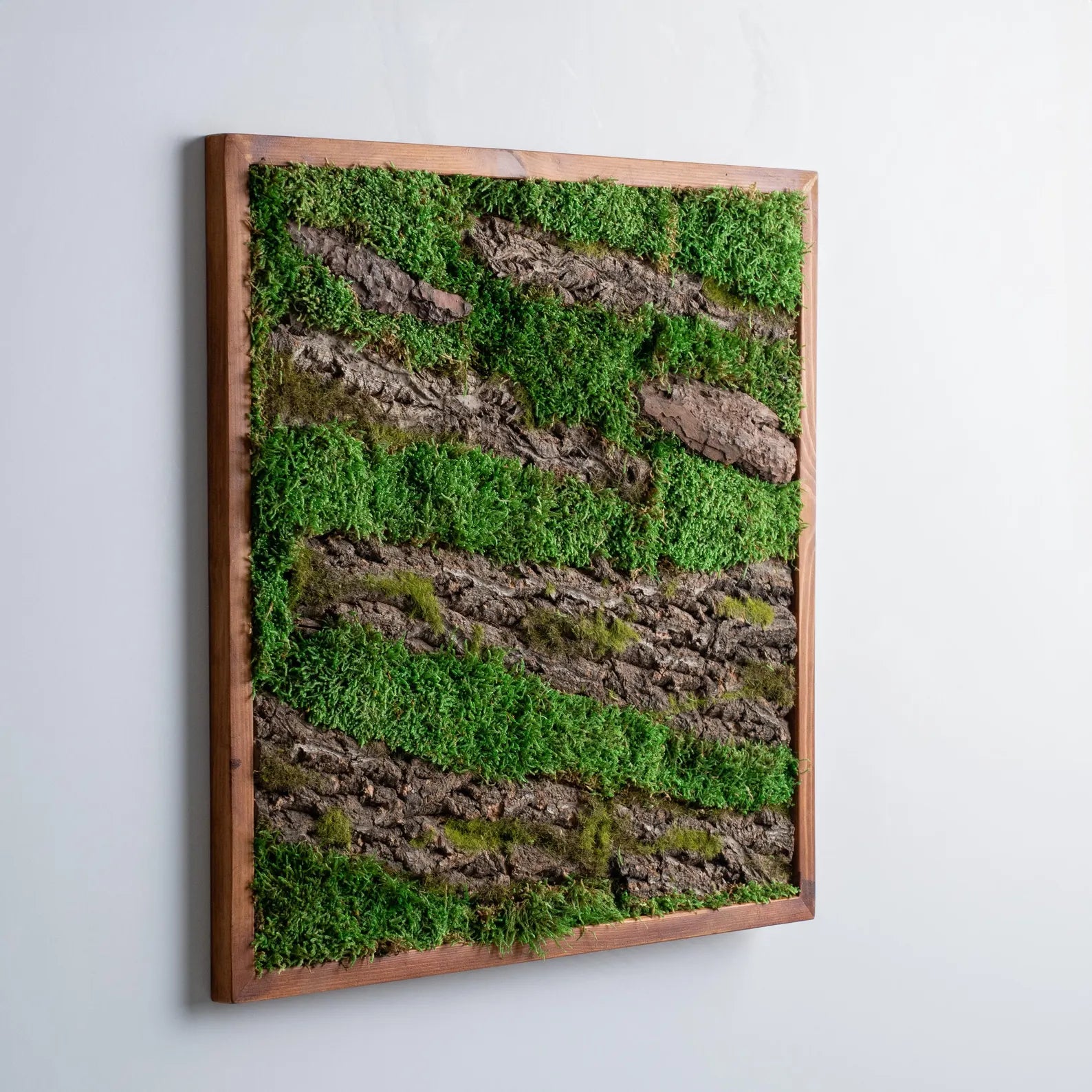 Tree Wall Design – Wooden Frame Moss Wall Art & Botanical Home Decor