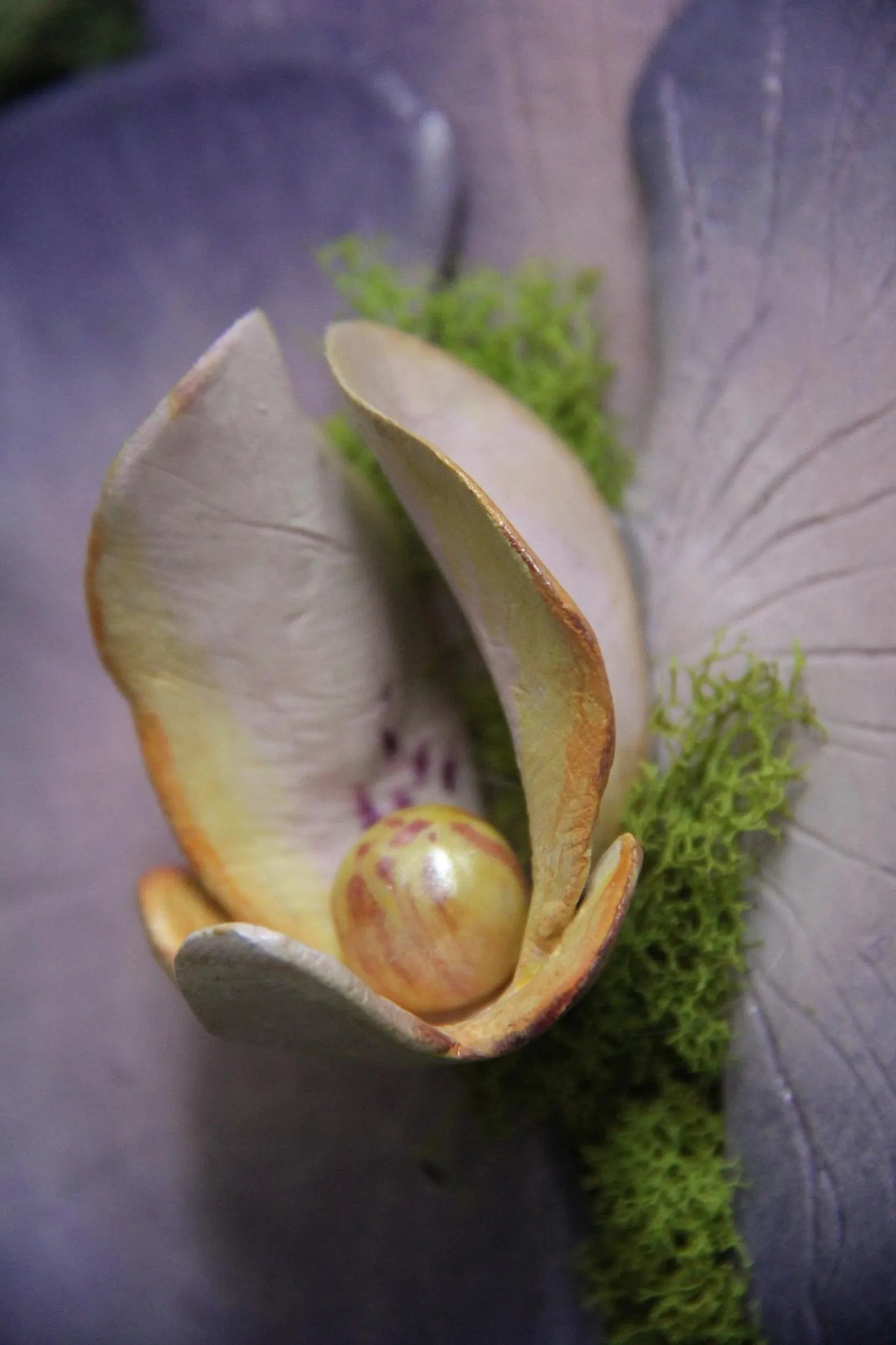 Preserved Moss Wall Décor | Clay Orchid Garden Art 8” x 8”