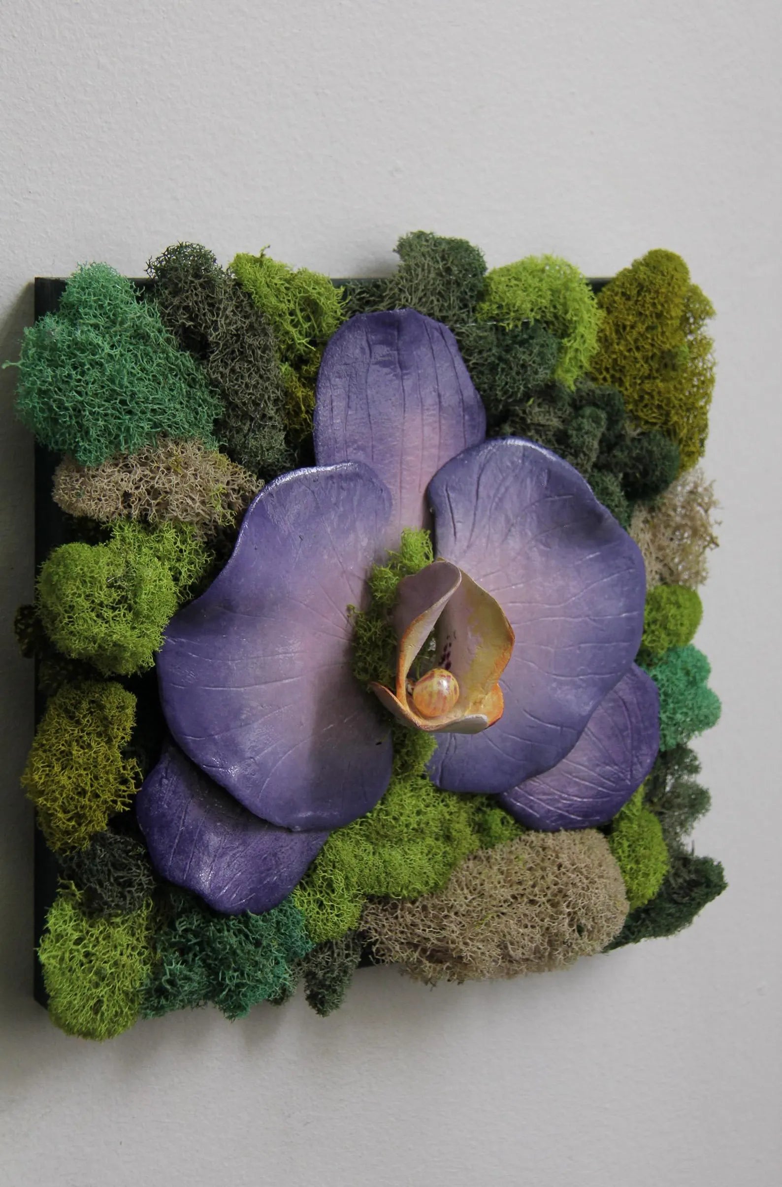 Preserved Moss Wall Décor | Clay Orchid Garden Art 8” x 8”
