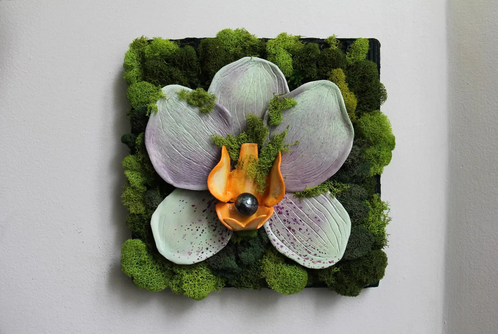 Clay Orchid & Moss Wall Art | Preserved Garden Décor 10”