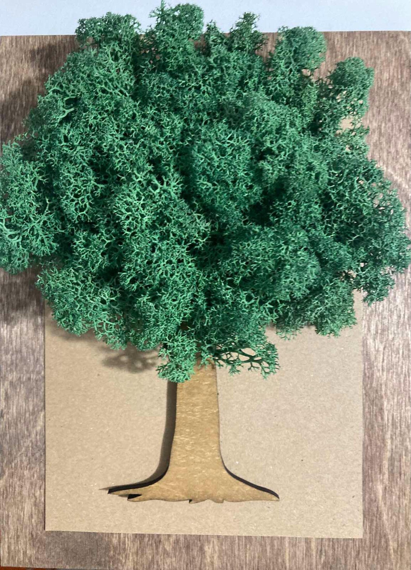 Tree of Life Moss Wall Art – Wooden Frame Nature Decor for Home