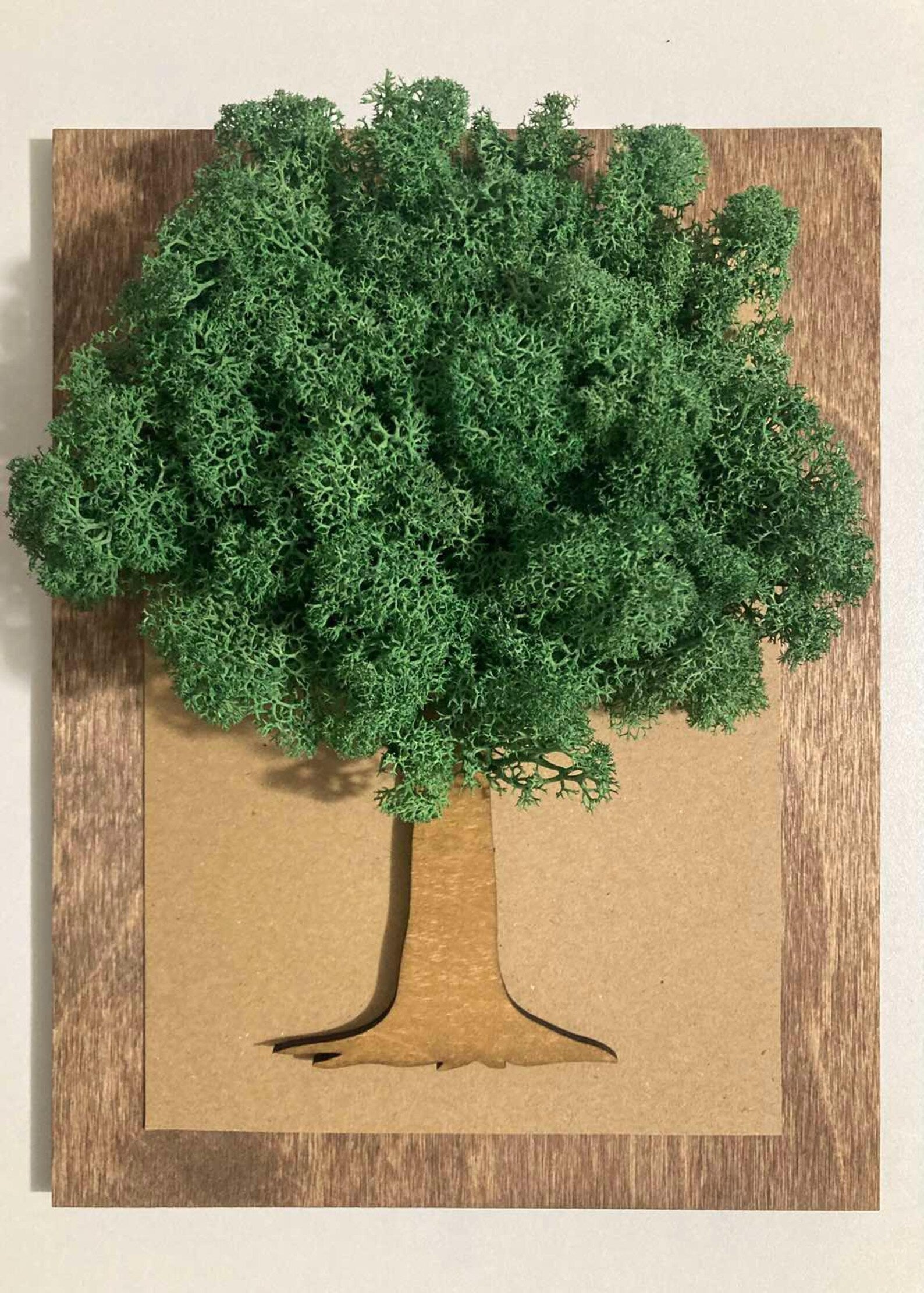 Tree of Life Moss Wall Art – Wooden Frame Nature Decor for Home