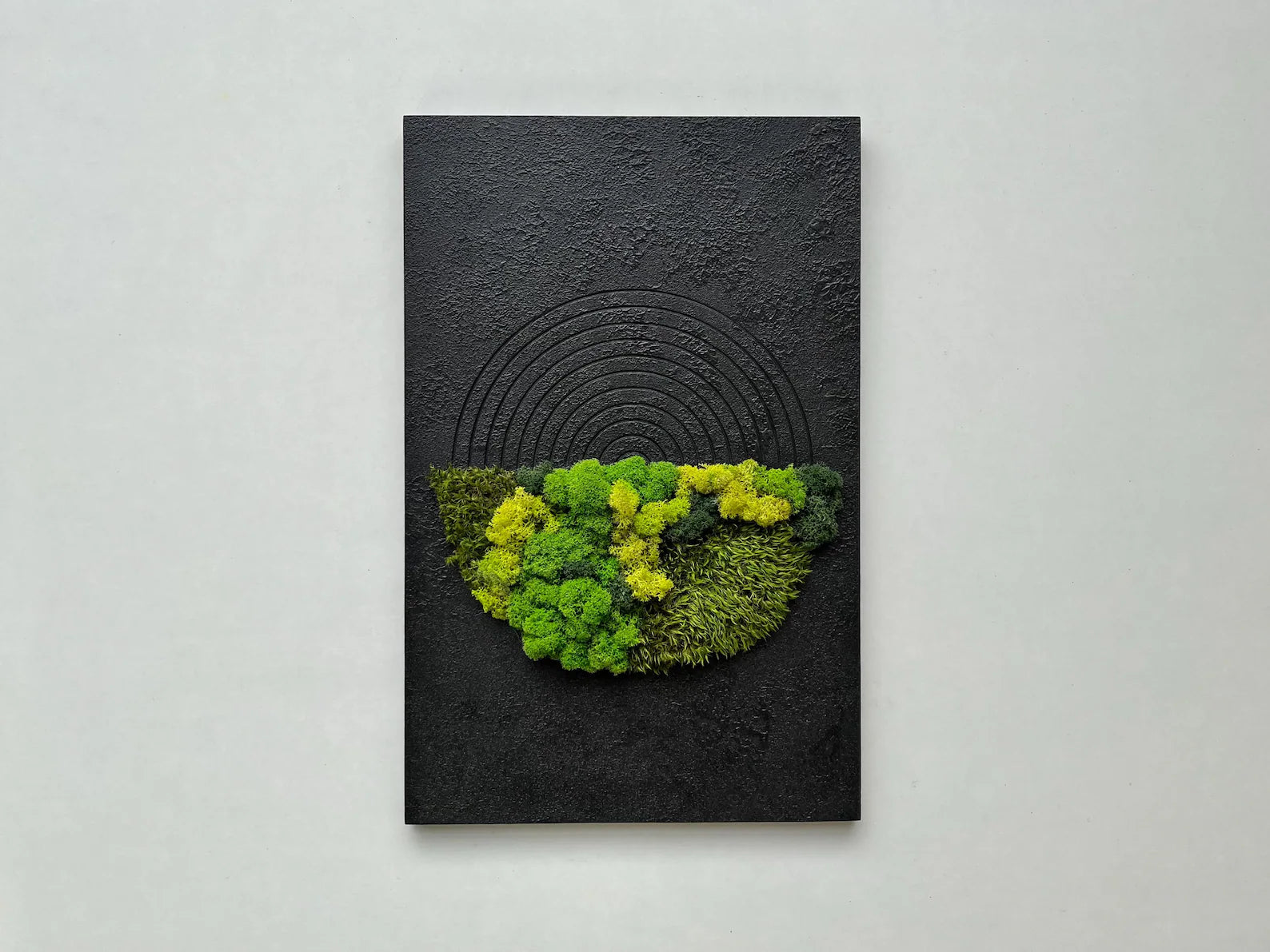 Moss Wall Decor – Handmade Preserved Green Wall Art for Home