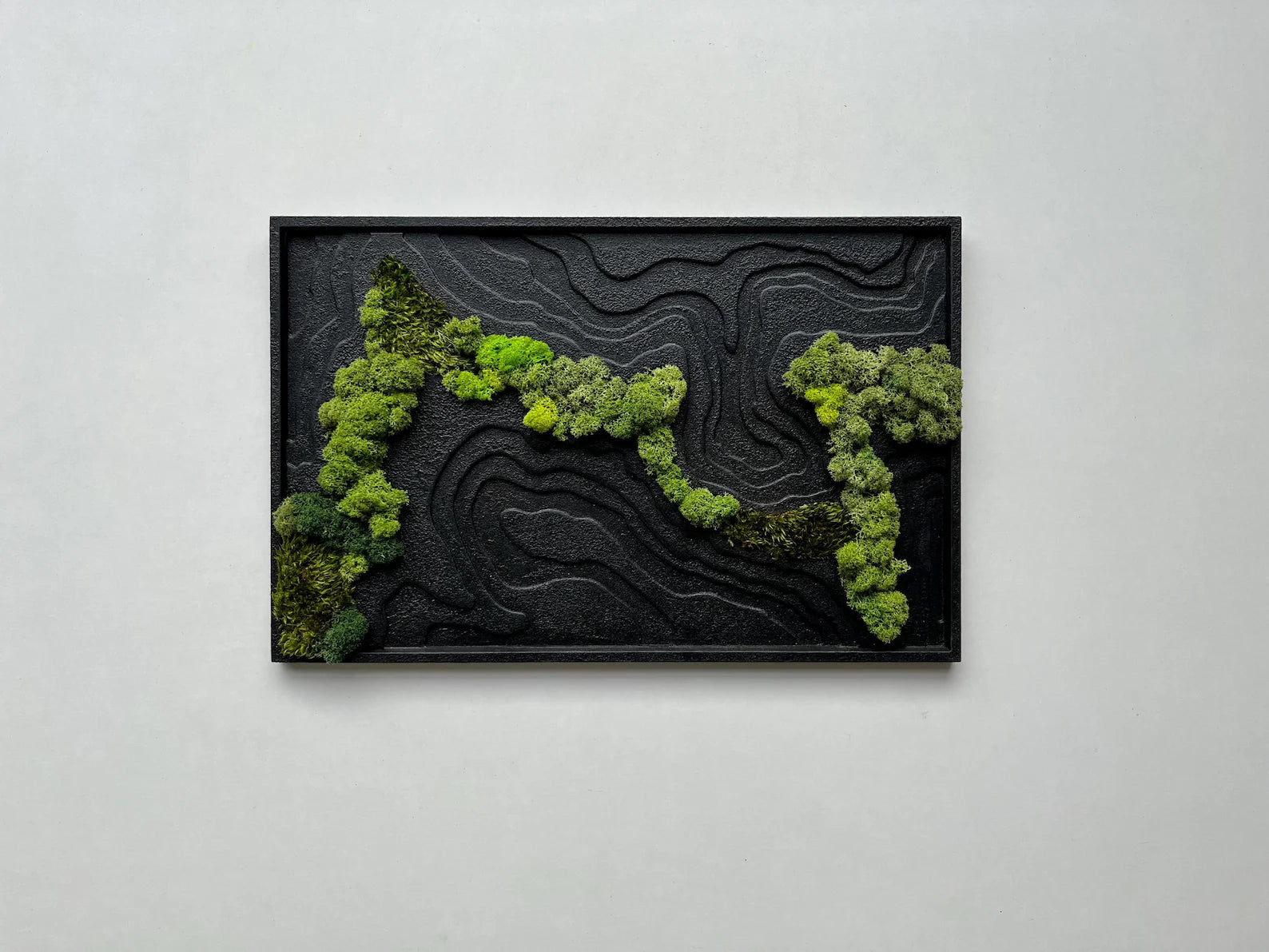 Black Topography Wall Art with Natural Preserved Moss – Modern Biophilic Decor