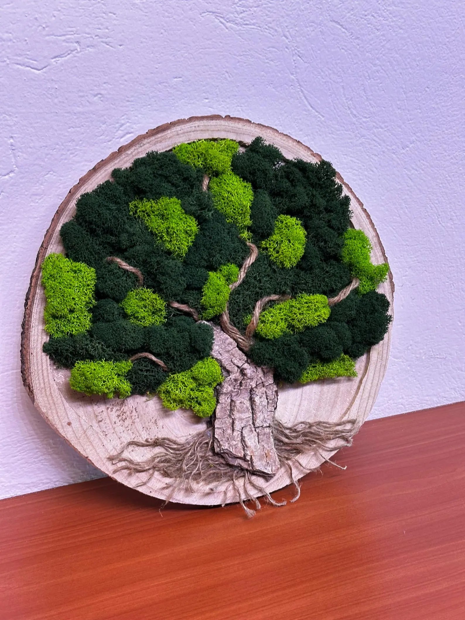 Tree of Life Moss Frame – Natural Wall Decor for Living Space