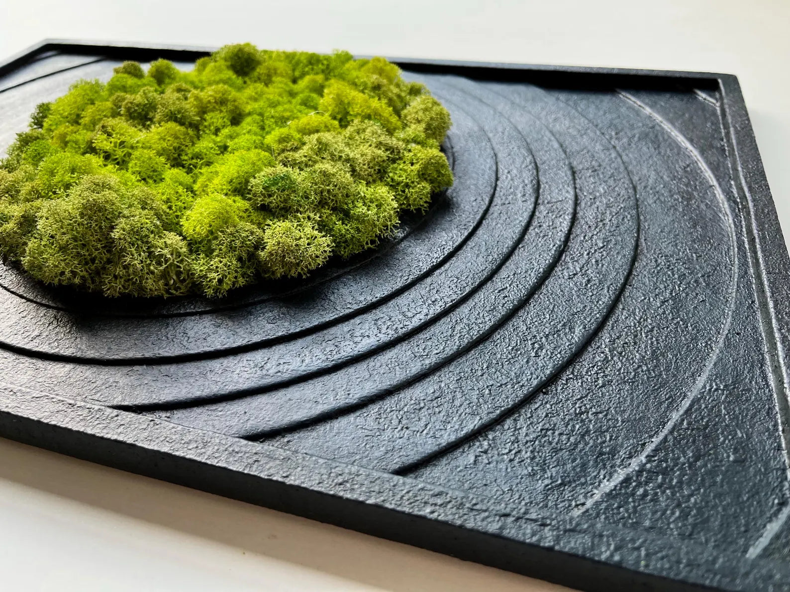 Textured Black Wall Art with Preserved Moss – Modern Home Decor