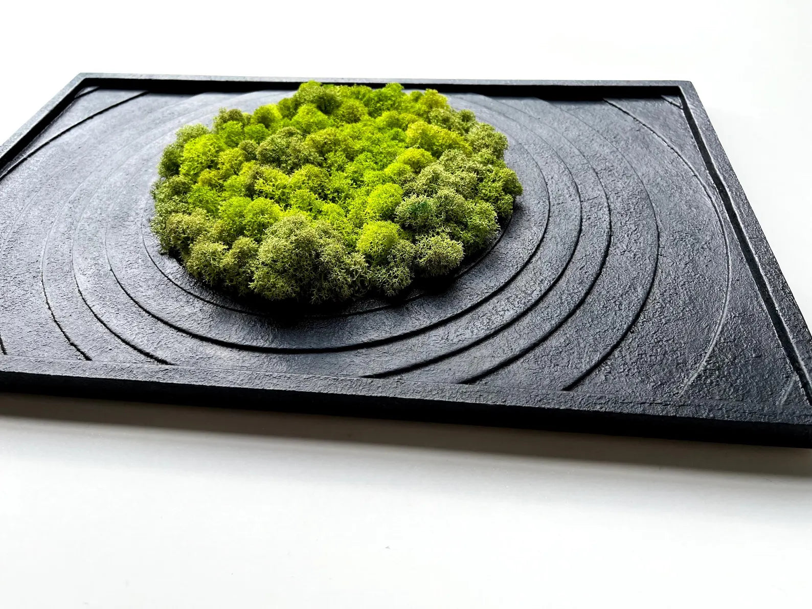 Textured Black Wall Art with Preserved Moss – Modern Home Decor