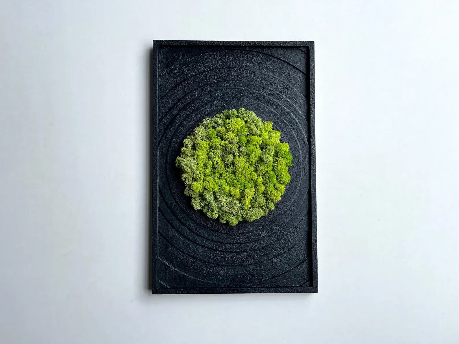 Textured Black Wall Art with Preserved Moss – Modern Home Decor