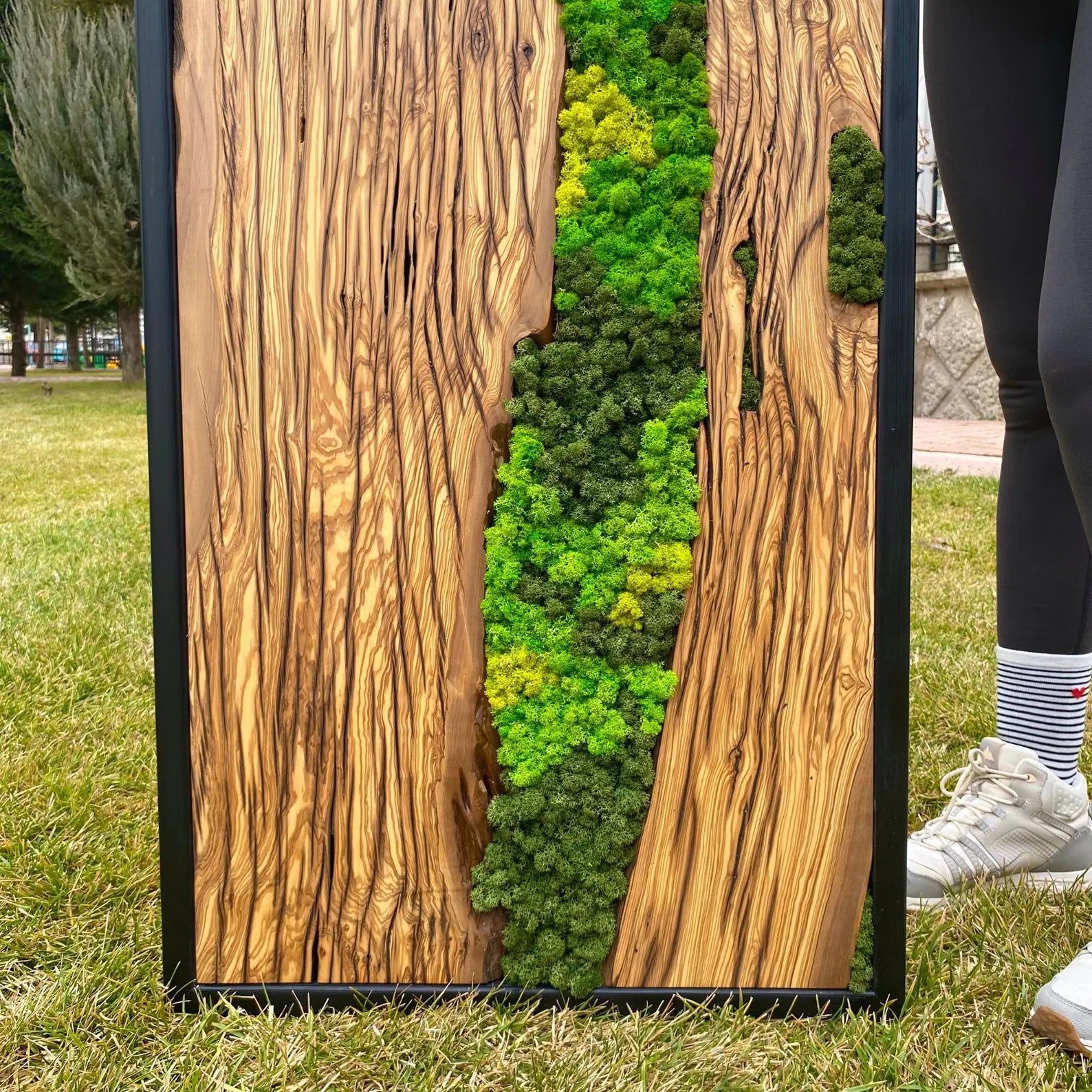Preserved Moss Wall Art – Made to Order Olive Wood Wall Decor for Living Room