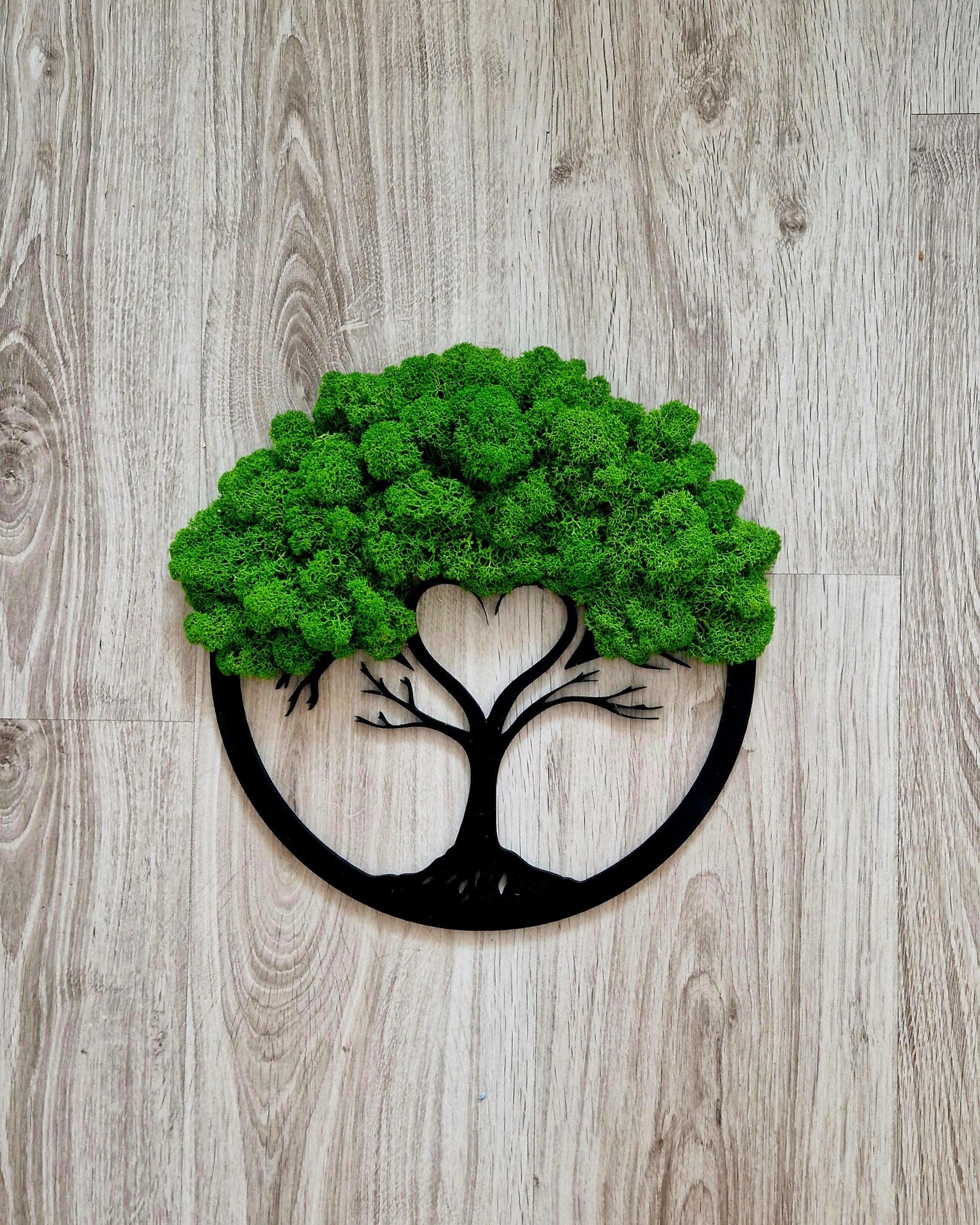 Premium Bonsai Tree Art – Round Preserved Reindeer Moss Wall Decor for Elegant Home Spaces